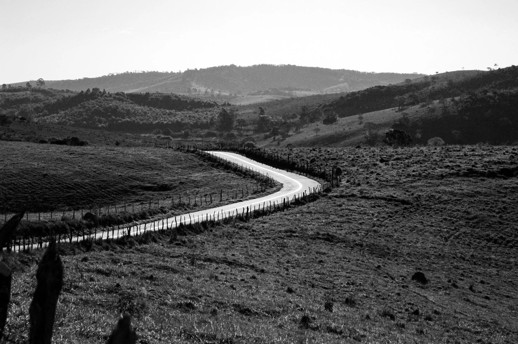 Estrada sinuosa atravessando um campo rural com vegetação e colinas ao fundo, em uma foto em preto e branco.