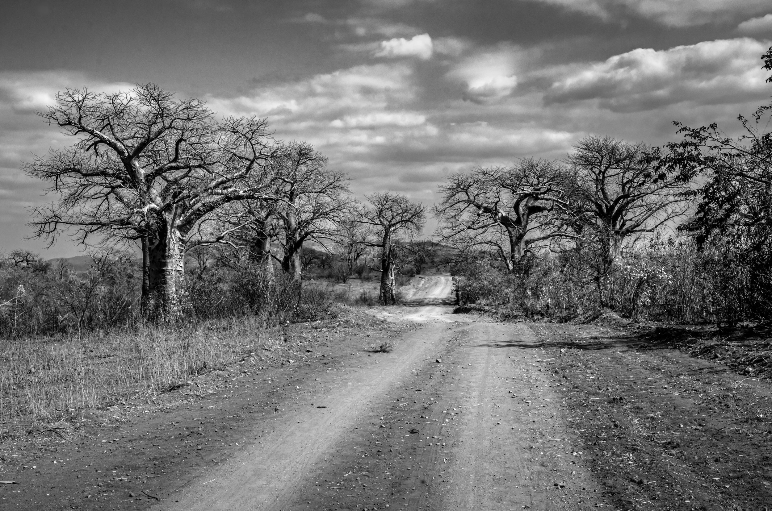 20191004, Tete Dirt Roads 092-Editar(B&W).jpg