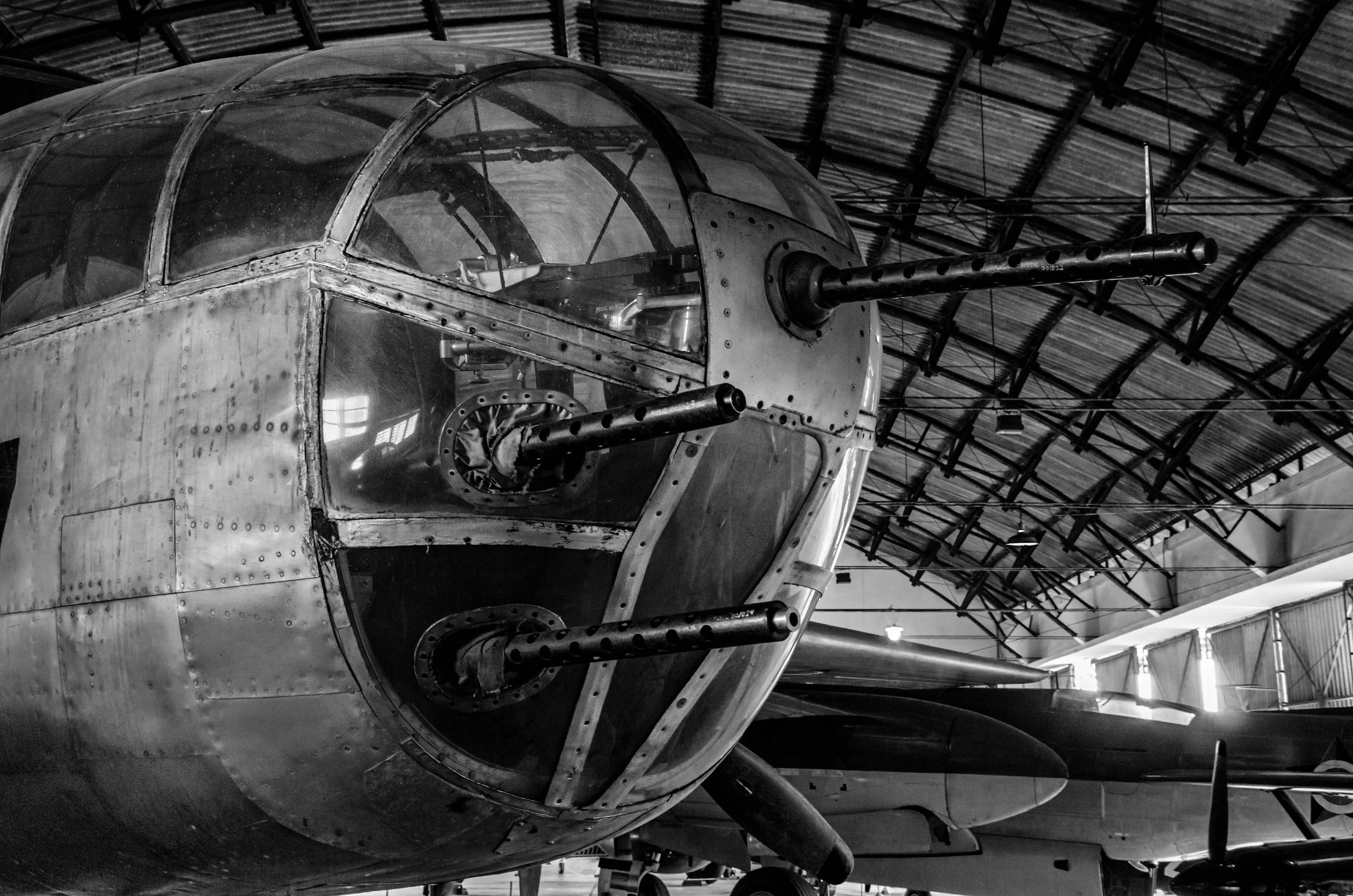 20161029, Musal 199-Editar(B&W).jpg