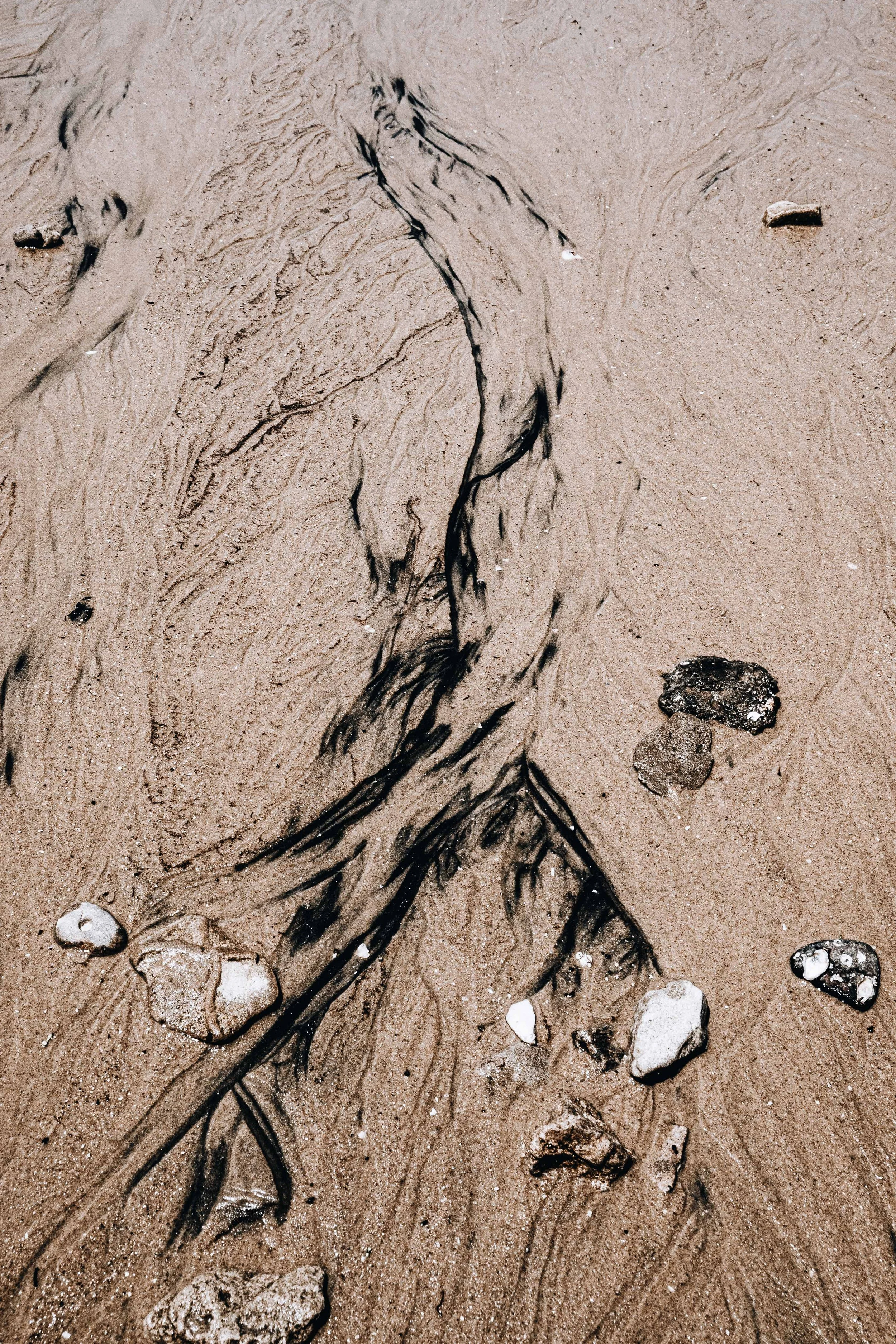 20231104, Areia Katembe 063.jpg