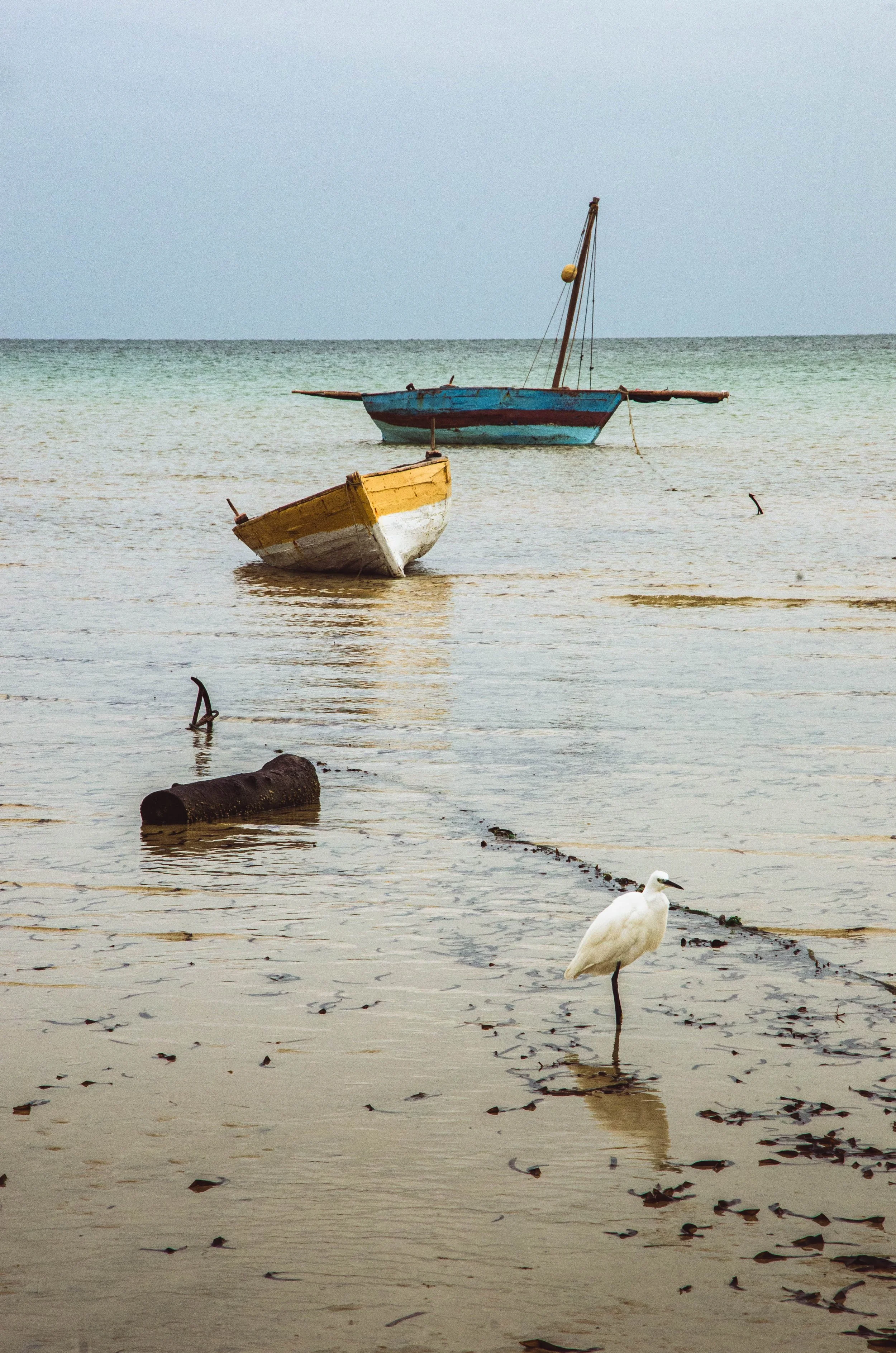 20211218, Porto de Vilanculos (D7000) 082.jpg