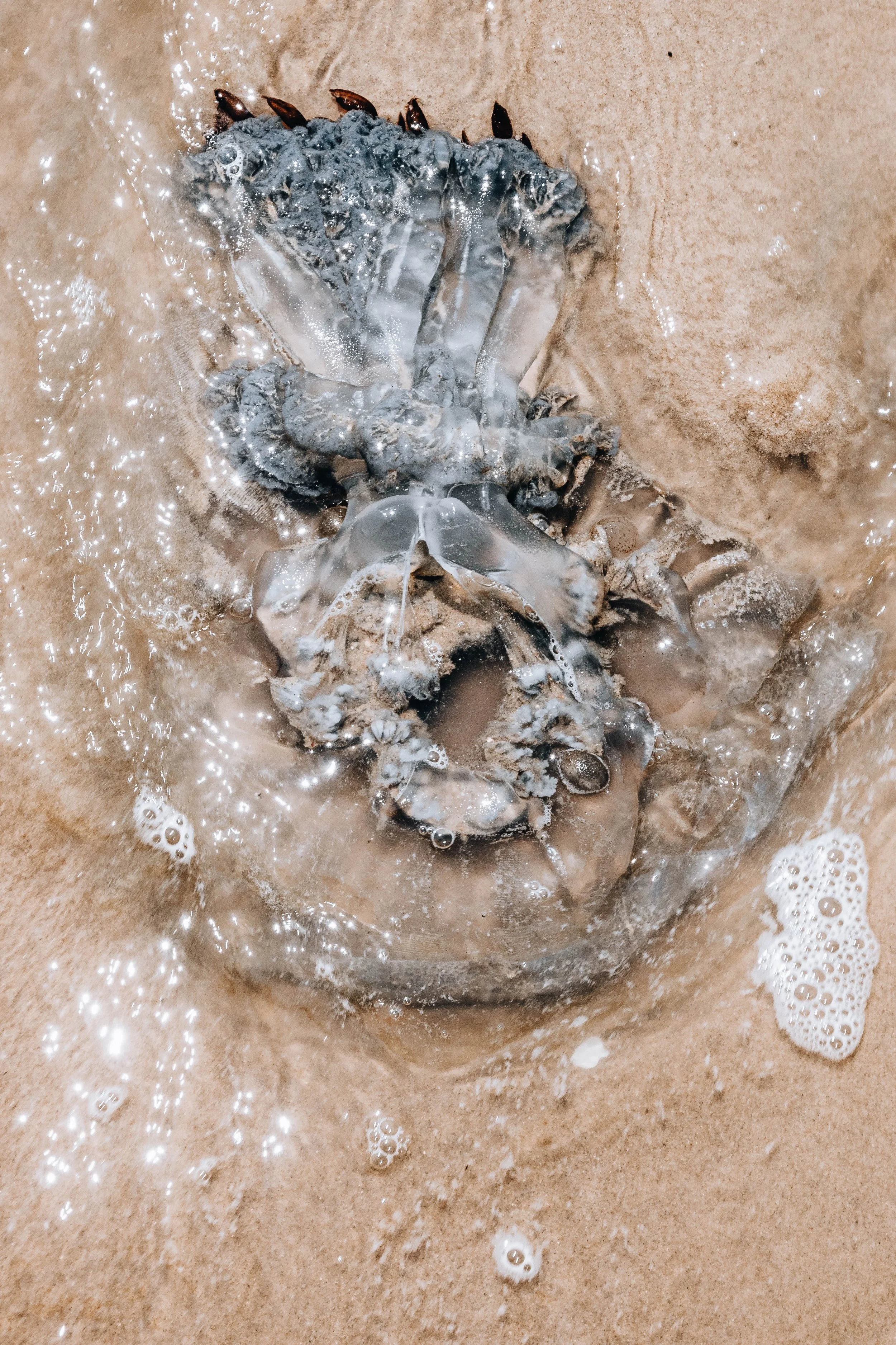 20230925, Katembe 068.jpg