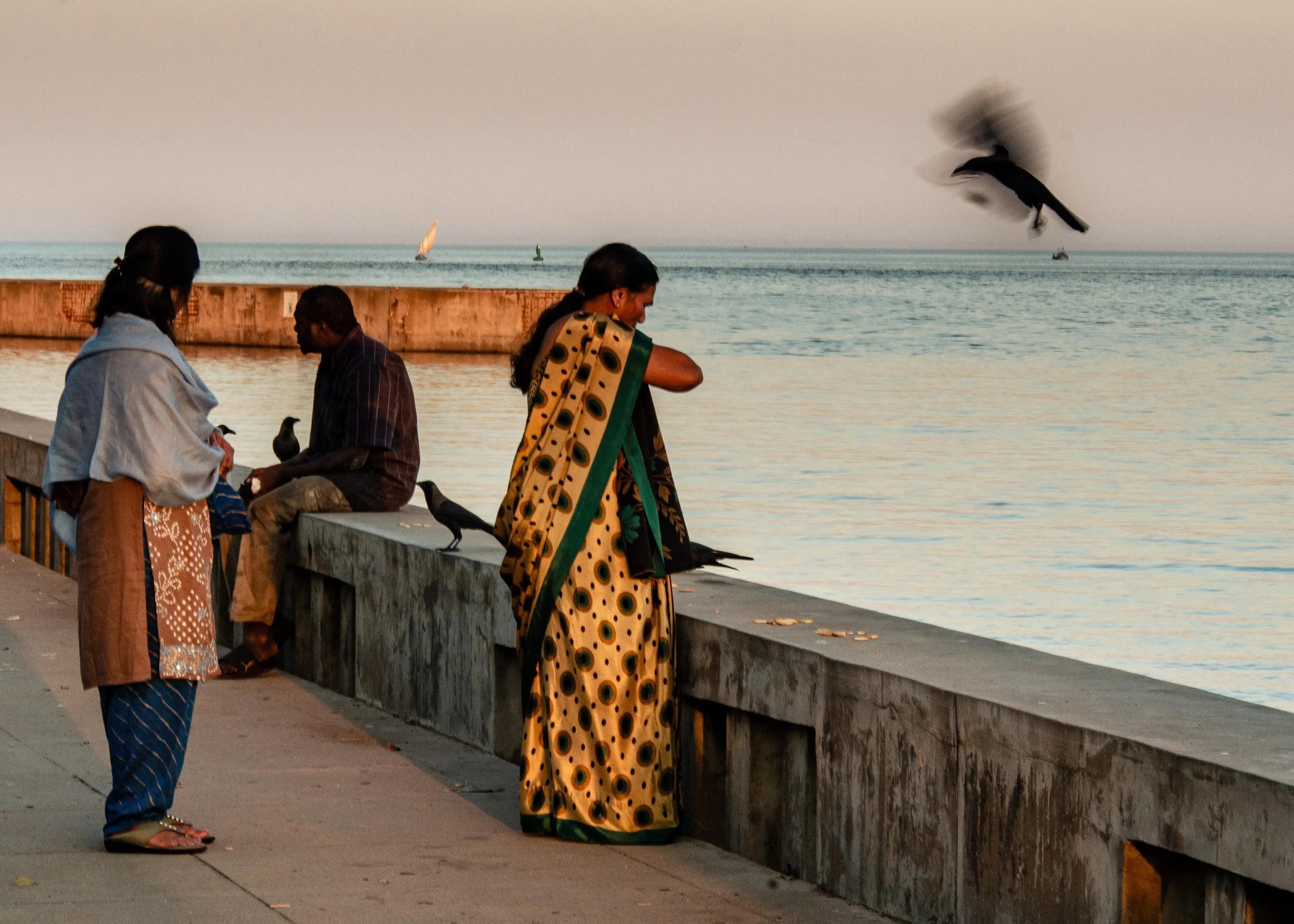 Mulheres e homem sentados e de pé na orla de uma praia ao pôr do sol, observando pássaros e o mar.