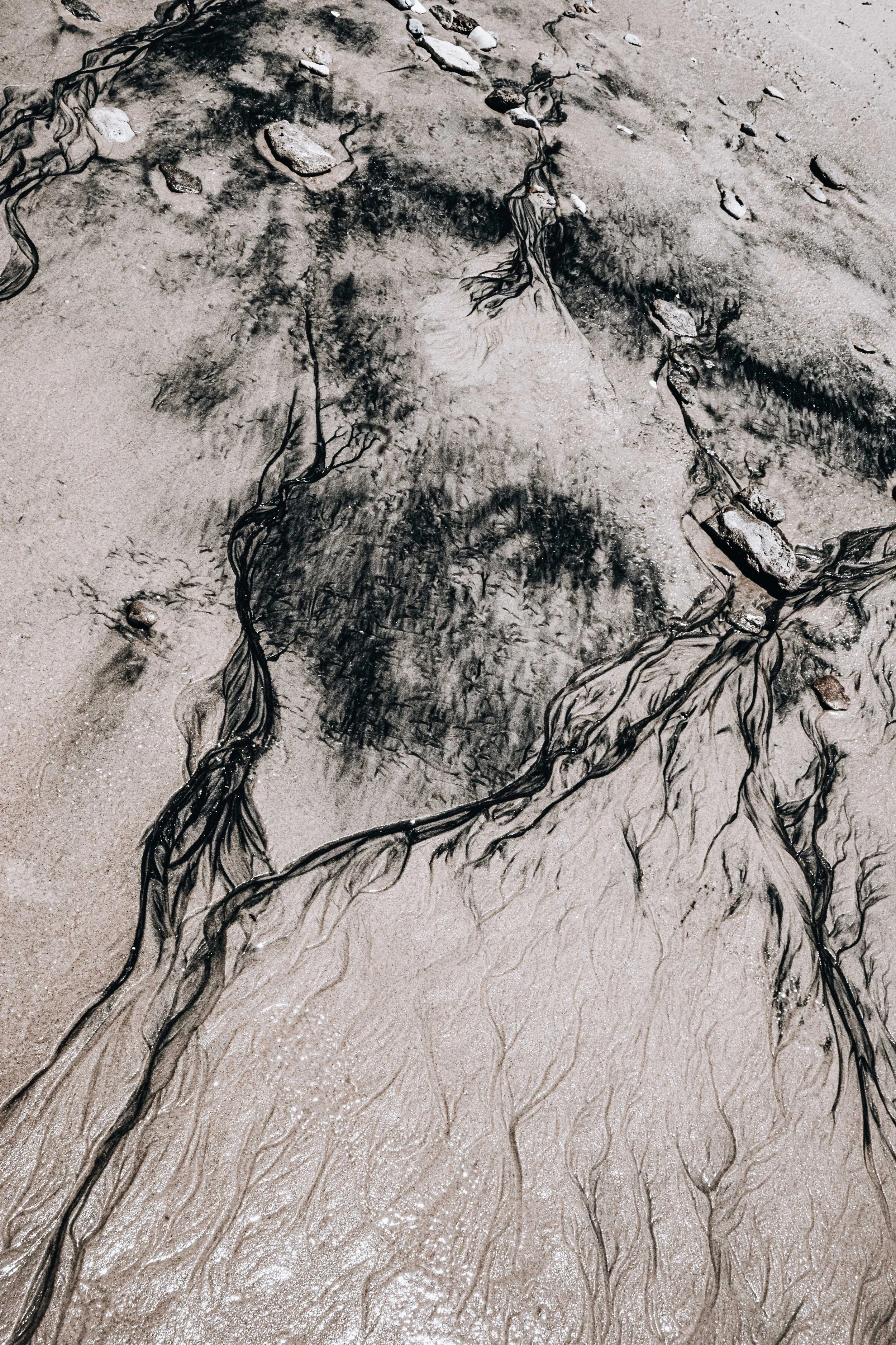 20231104, Areia Katembe 142.jpg