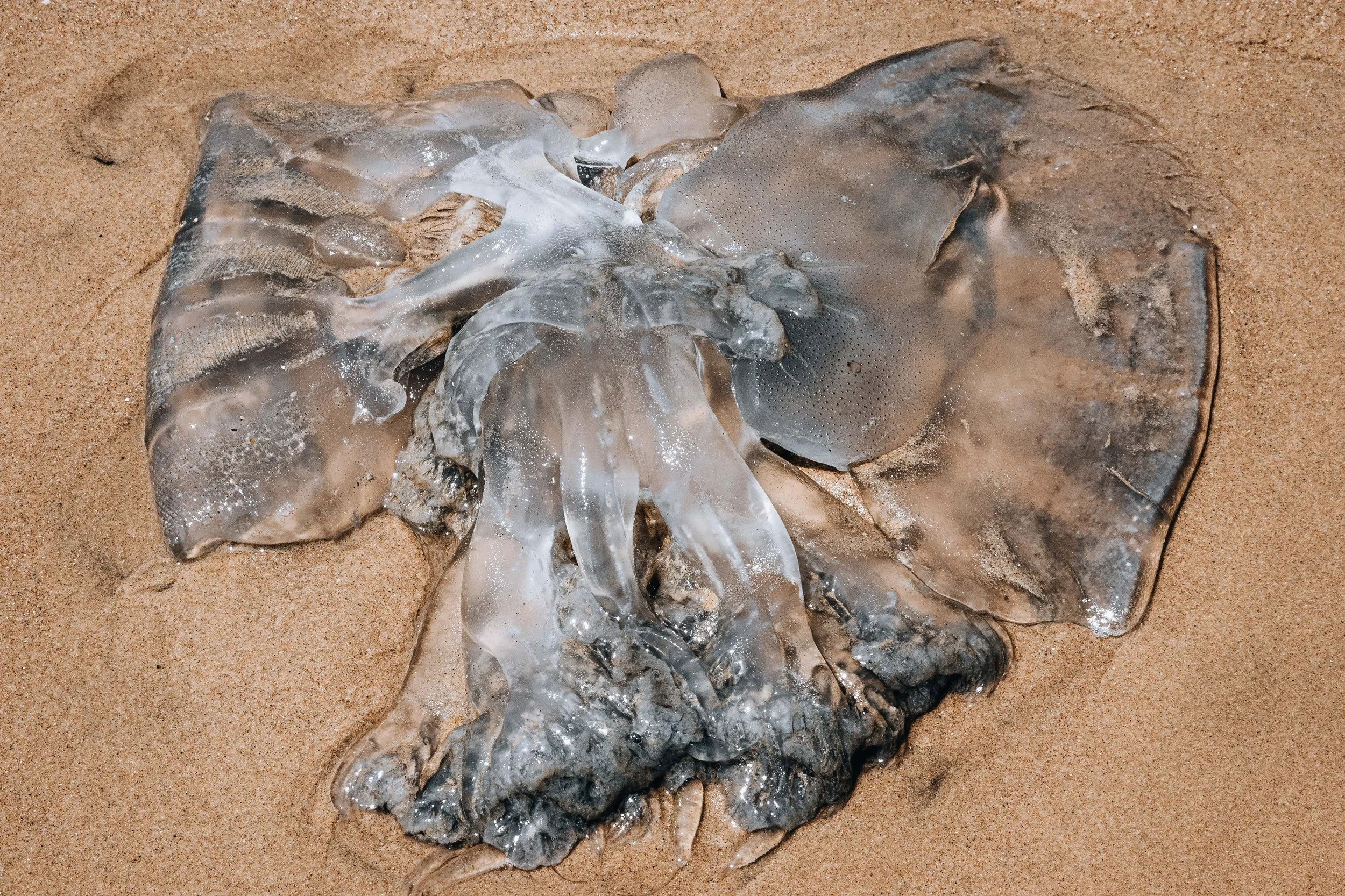 20230925, Katembe 064.jpg