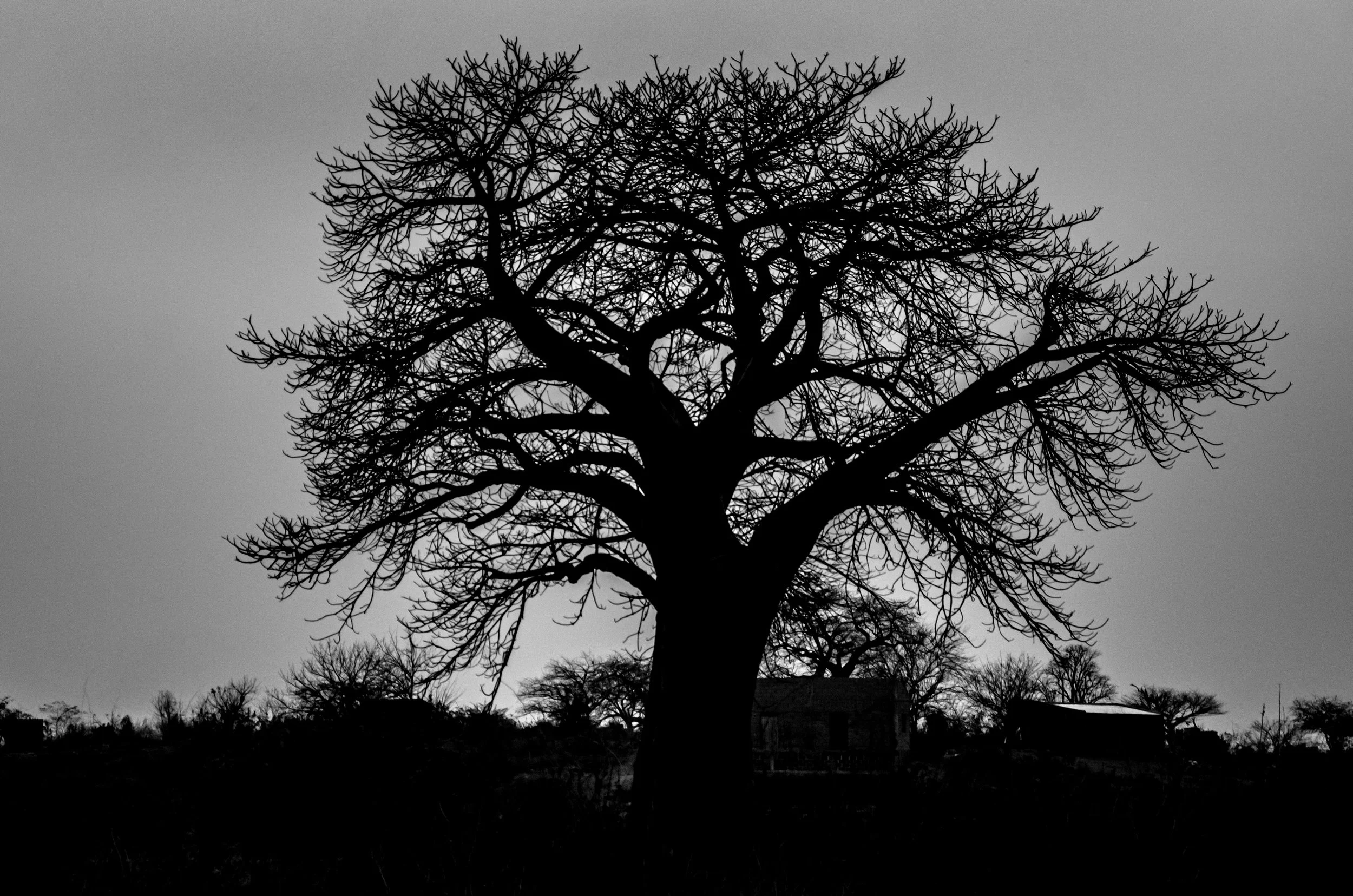 20190929, Por do Sol Equestra 026-Editar(B&W).jpg