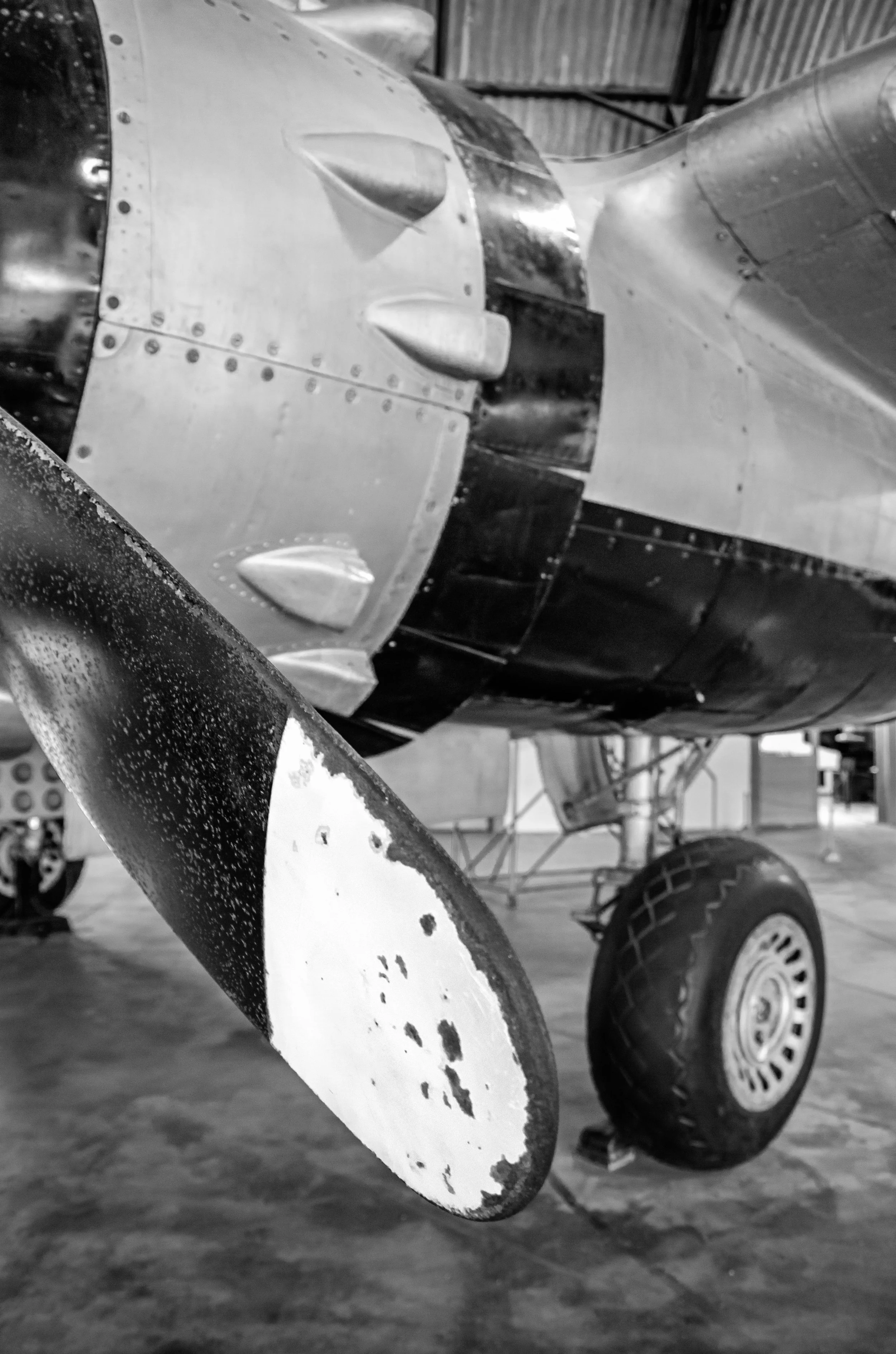 20161029, Musal 206-Editar(B&W).jpg