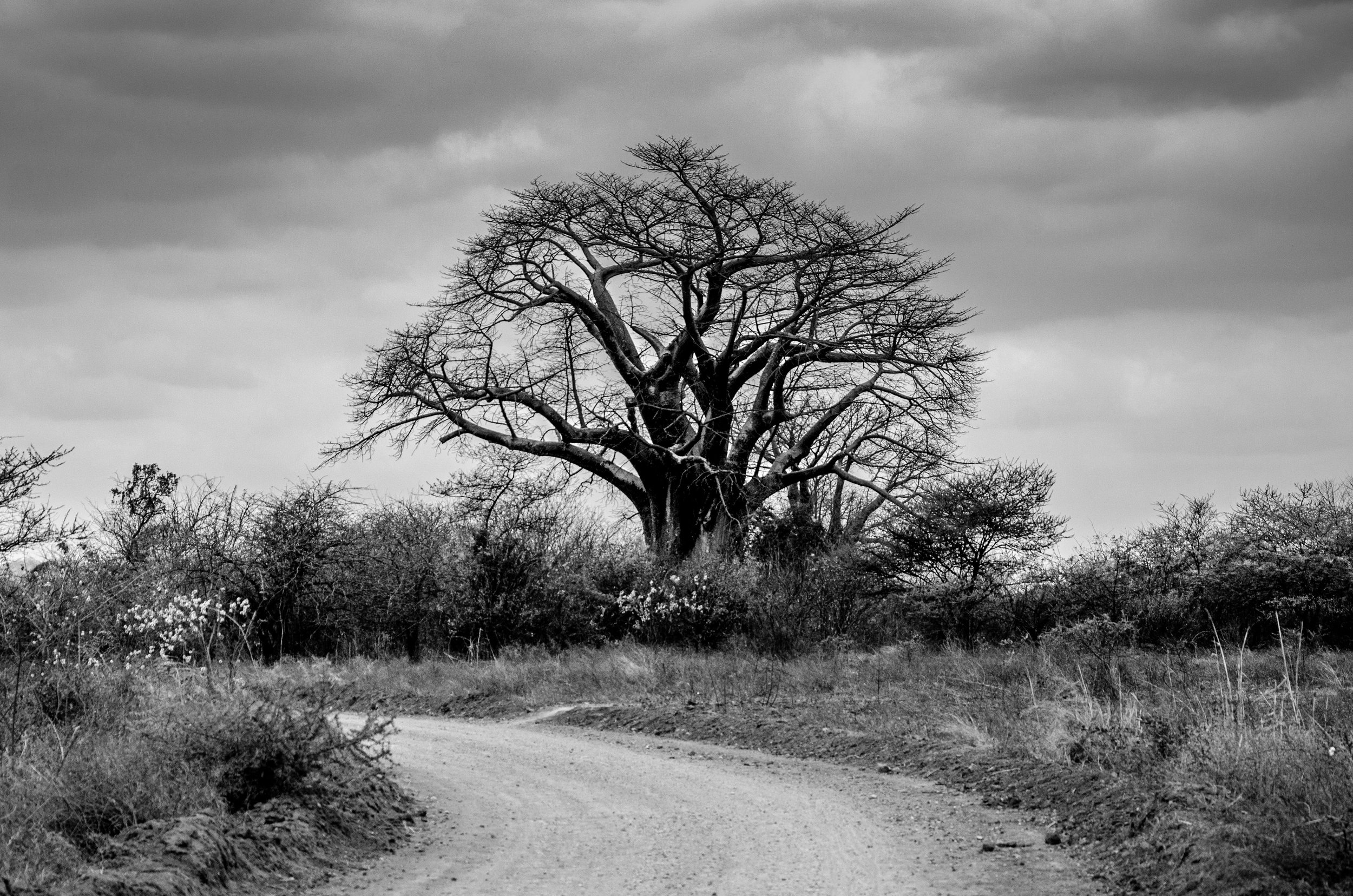 20191004, Tete Dirt Roads 045-Editar(B&W).jpg