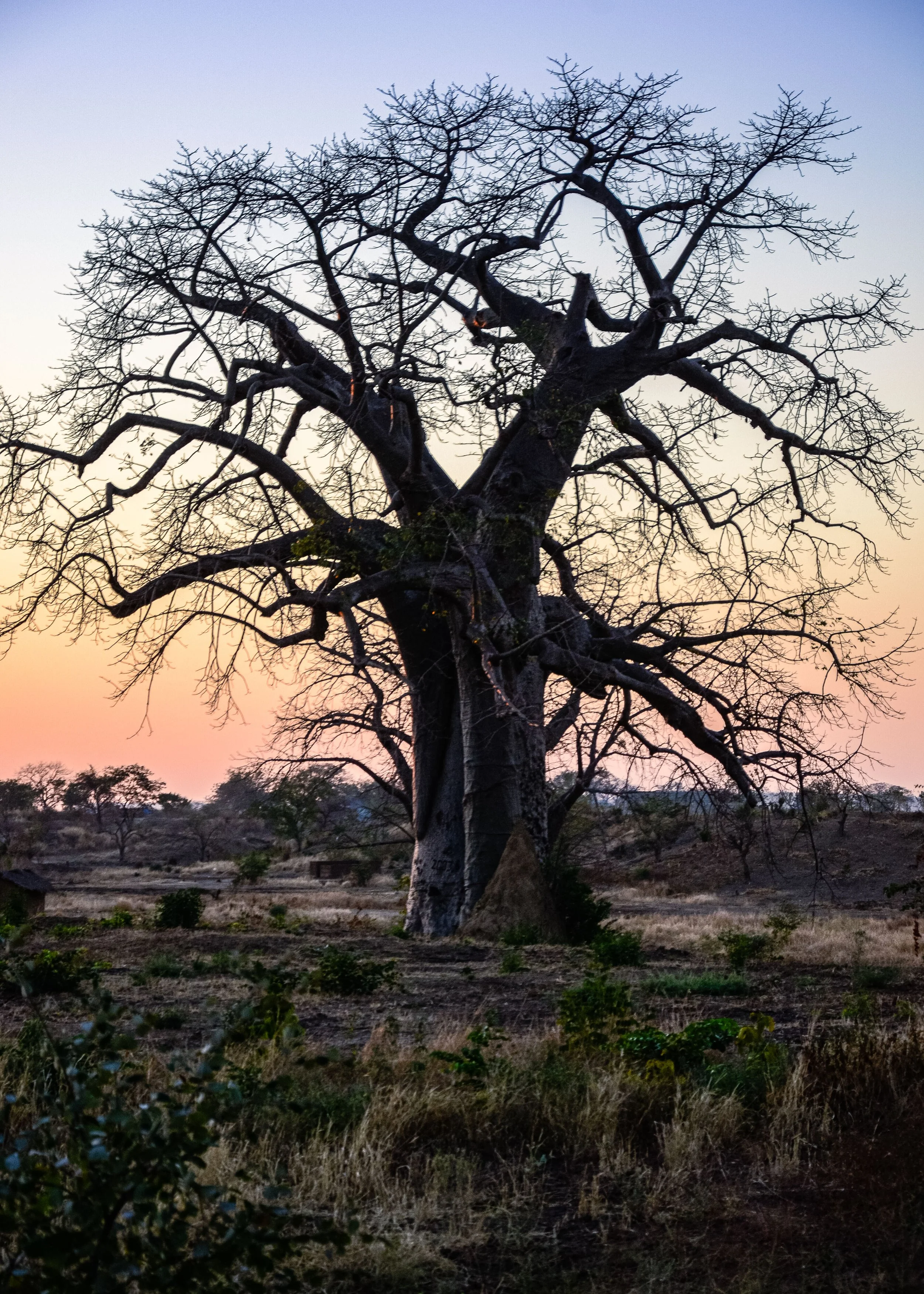 20200524, Pot do Sol Equestra 024.jpg