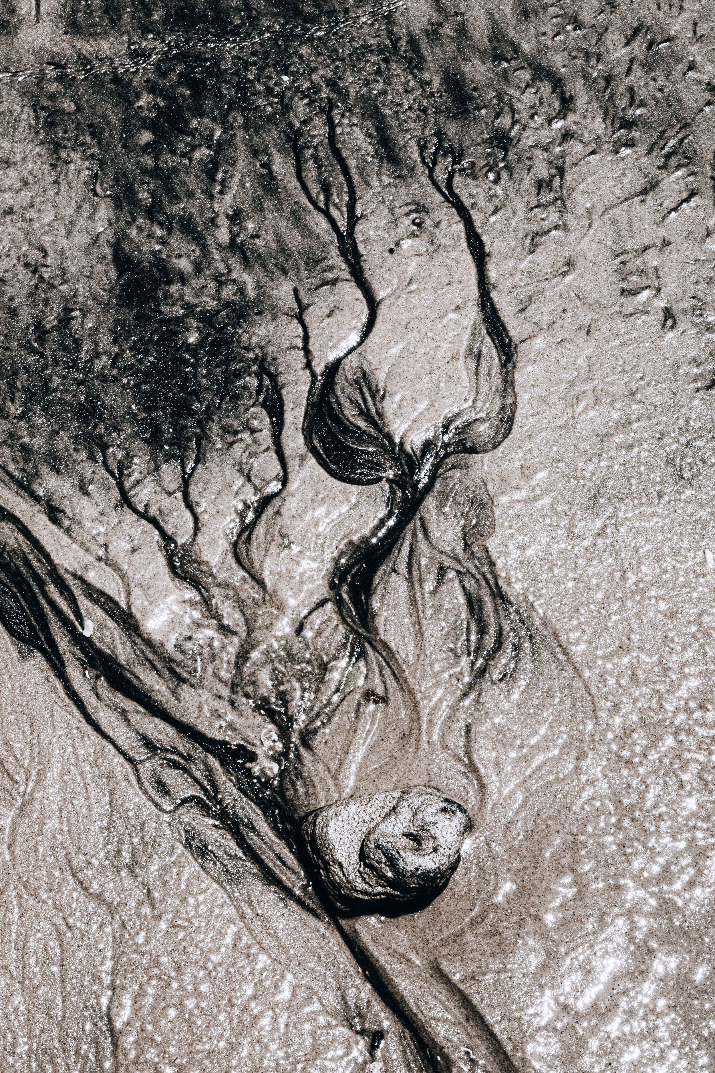 20231104, Areia Katembe 127.jpg