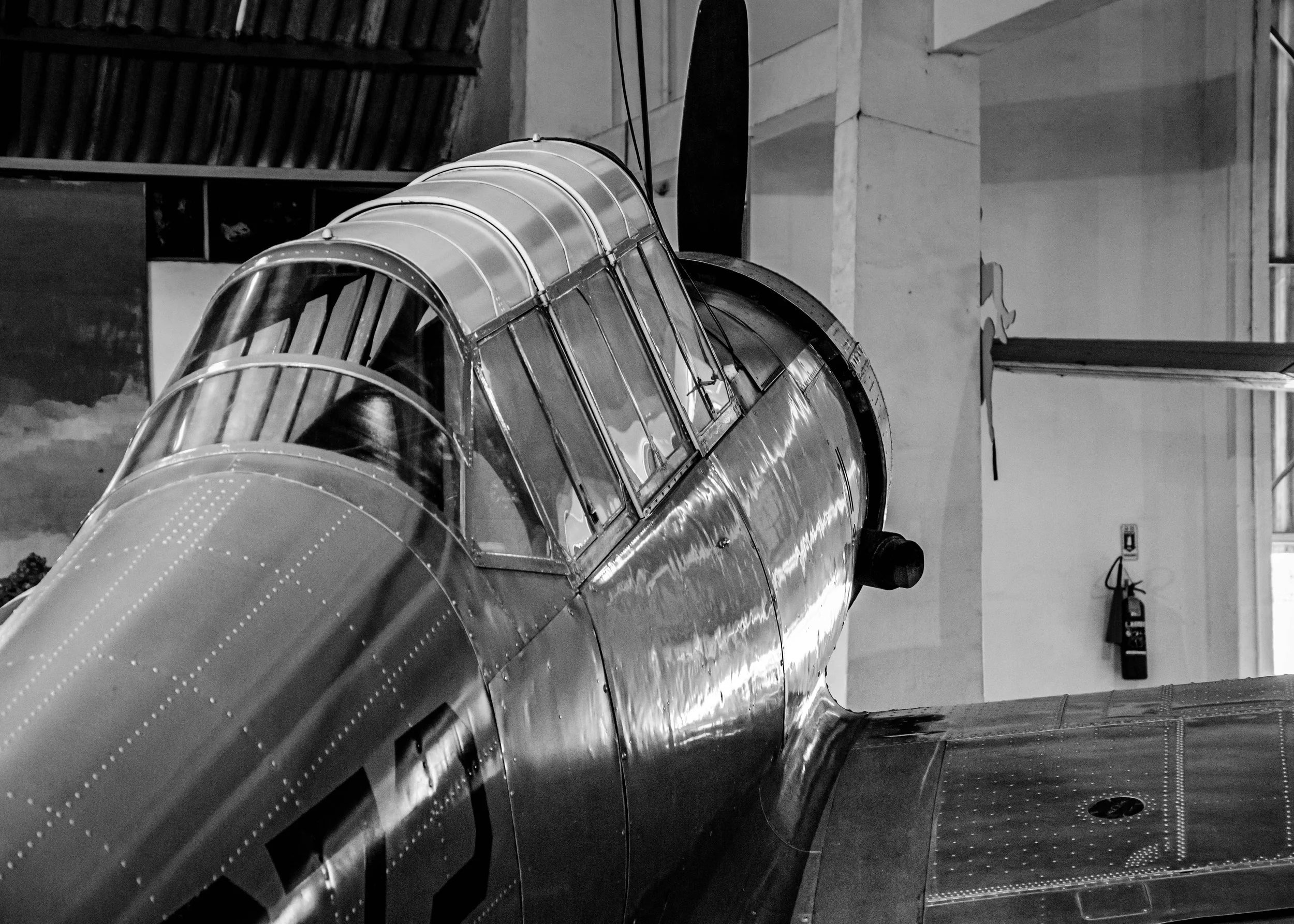 20161029, Musal 164-Editar(B&W).jpg