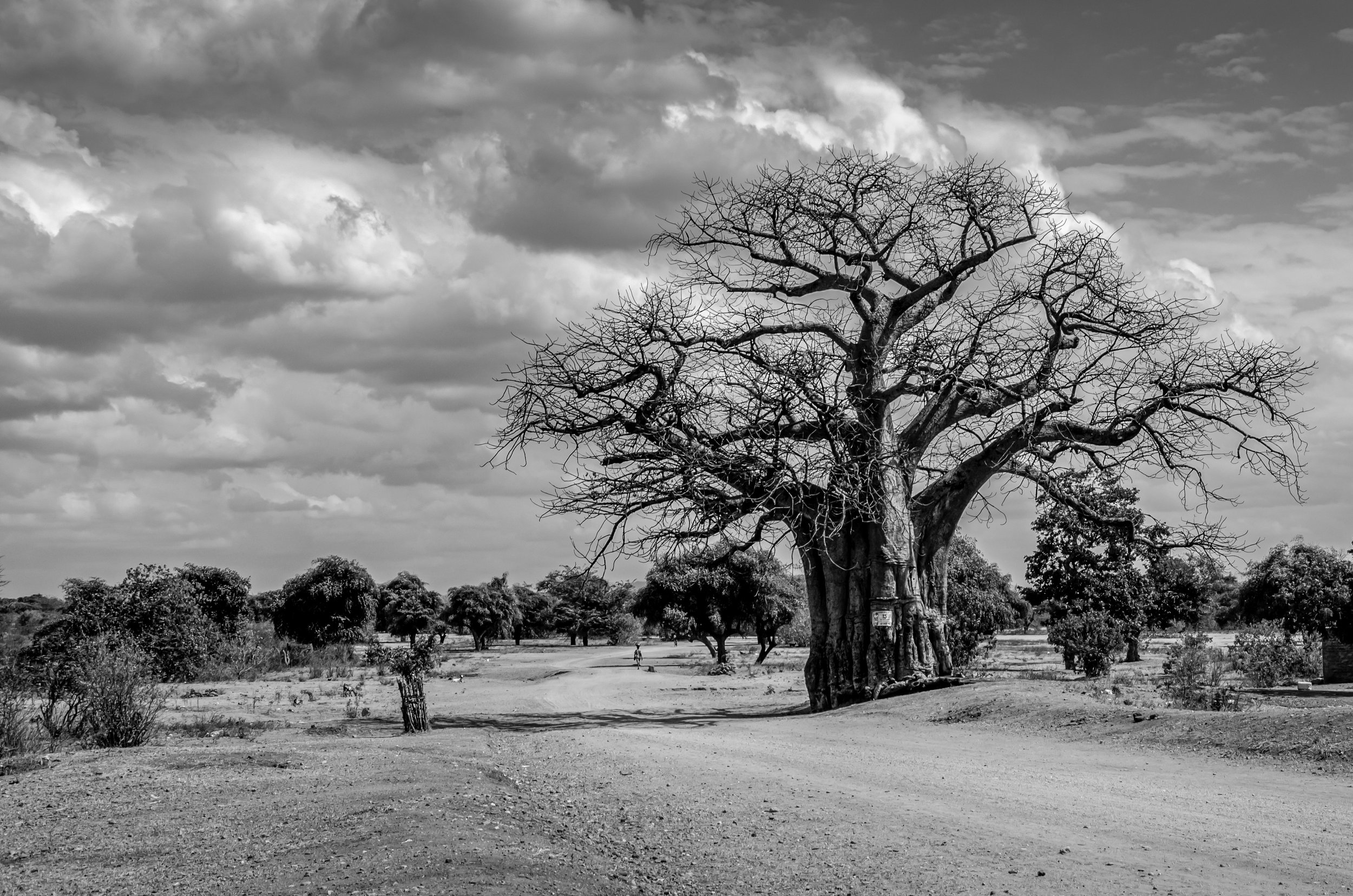 20190810, Missao Boroma, 19-Editar(B&W).jpg