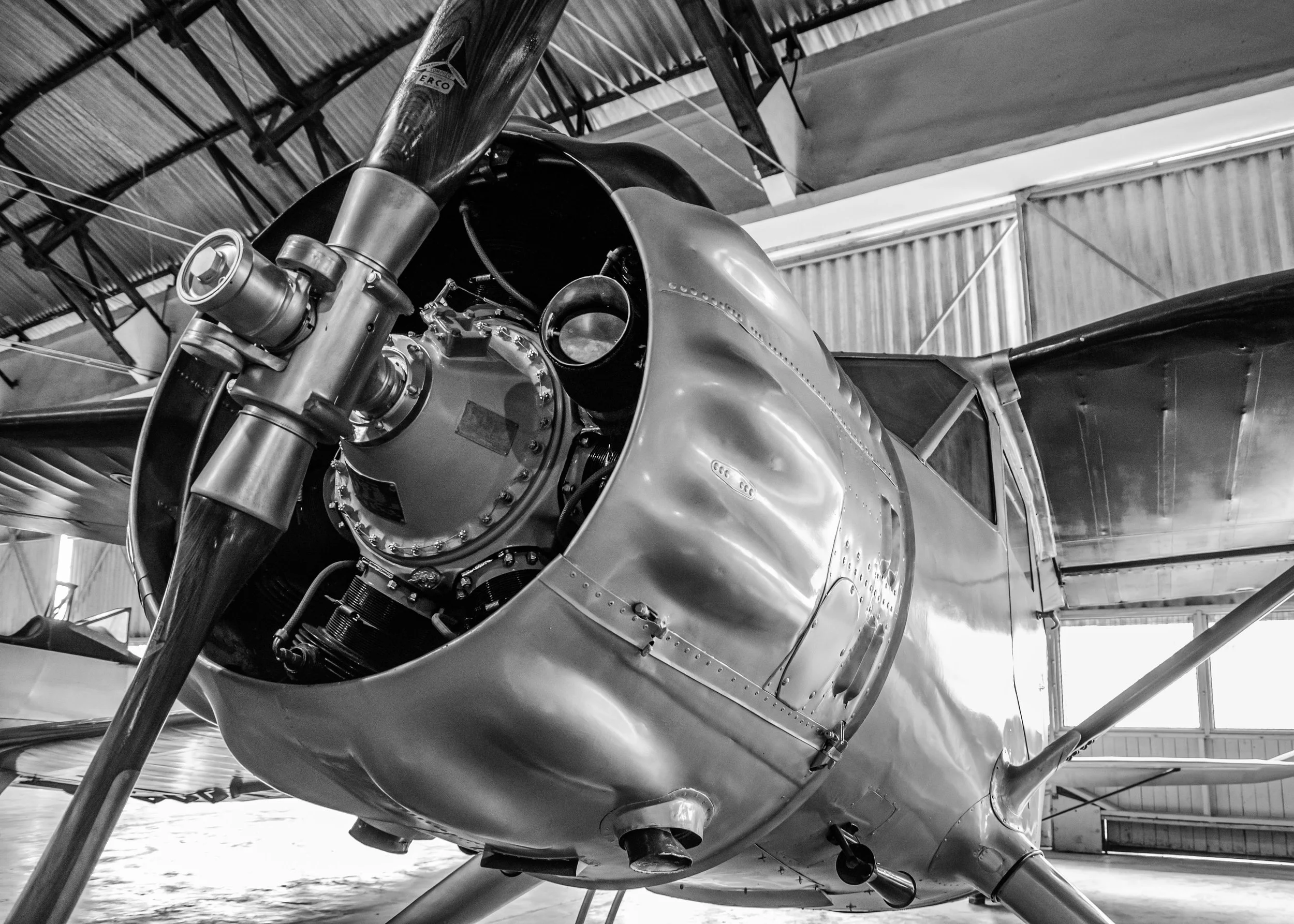 20161029, Musal 058-Editar(B&W).jpg