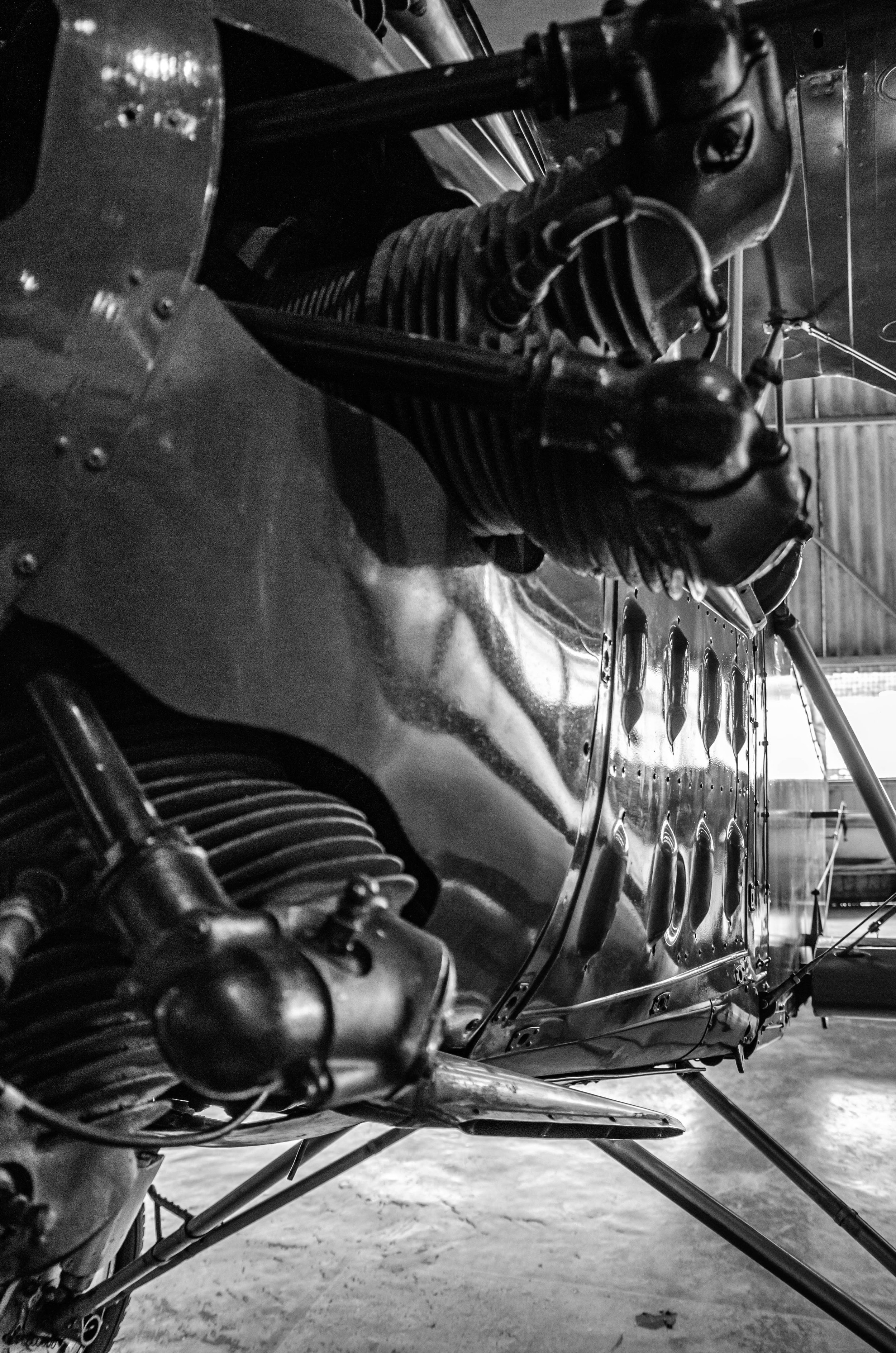 20161029, Musal 081-Editar(B&W).jpg