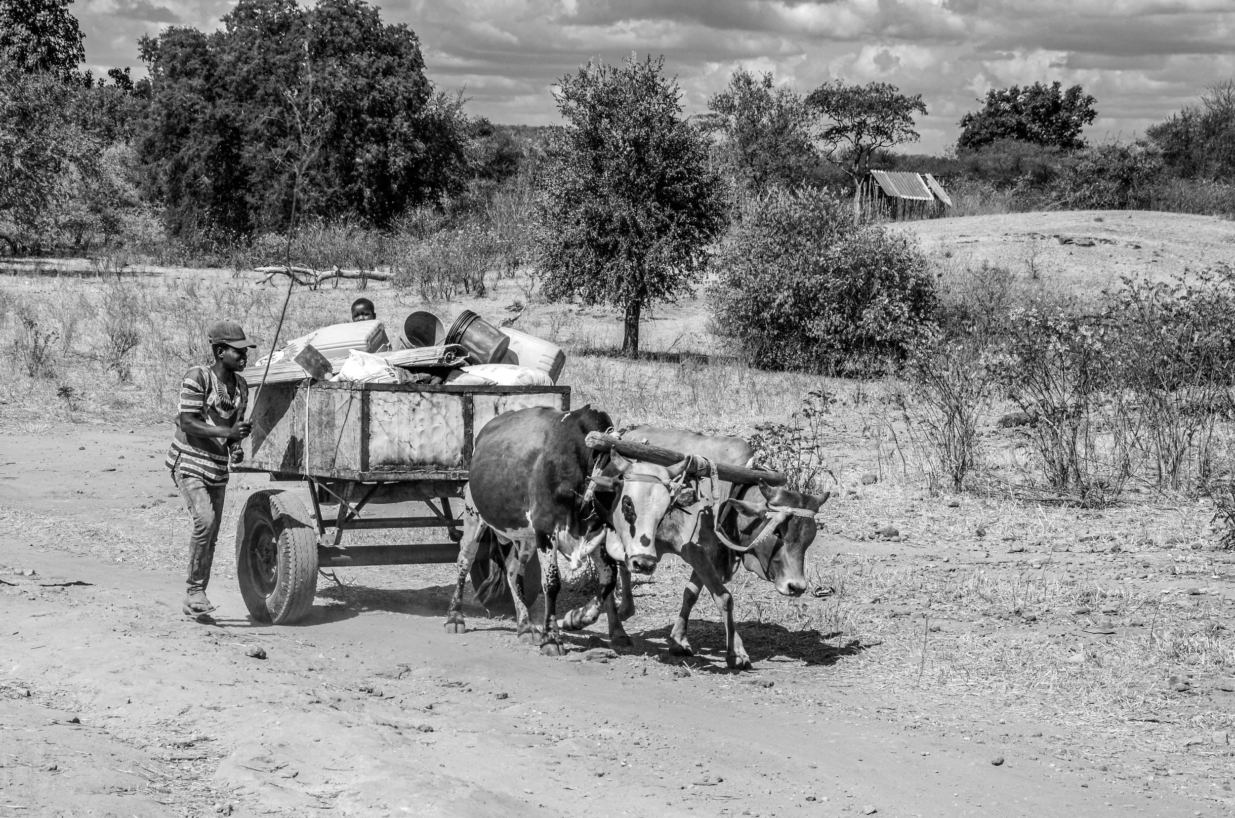 20200607, Benga 030-Editar(B&W).jpg