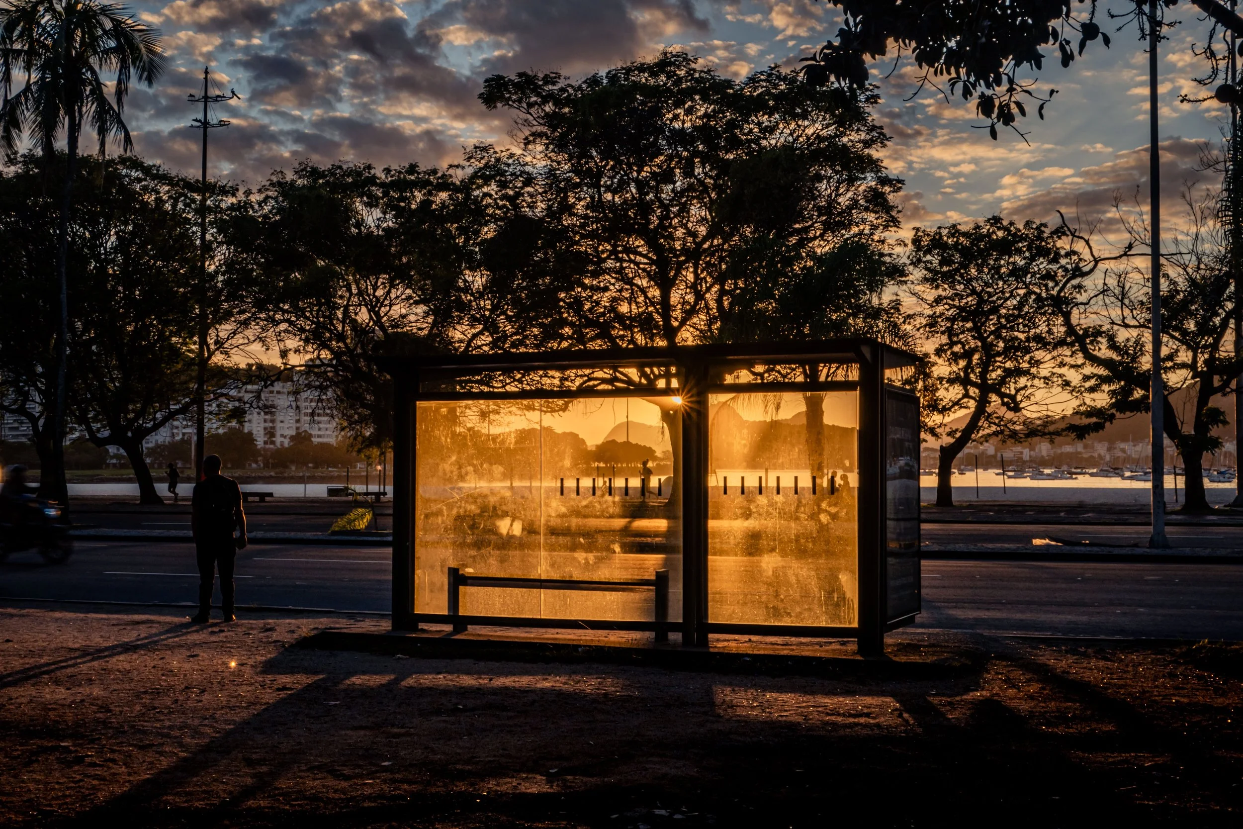 Árvore e uma estação de ônibus coberta ao pôr do sol na cidade, com sombras alongadas no chão.