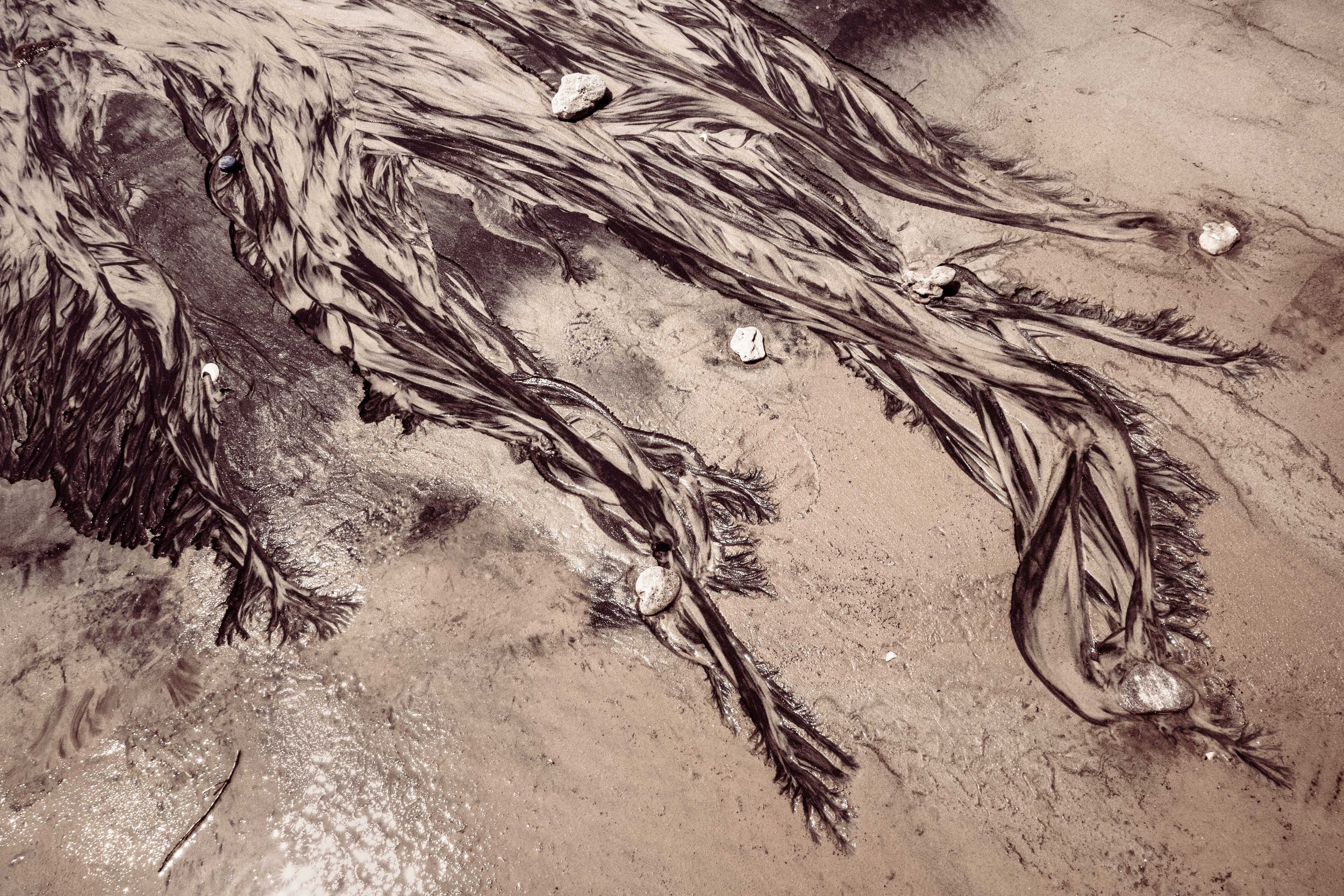 20230925, Katembe 078.jpg