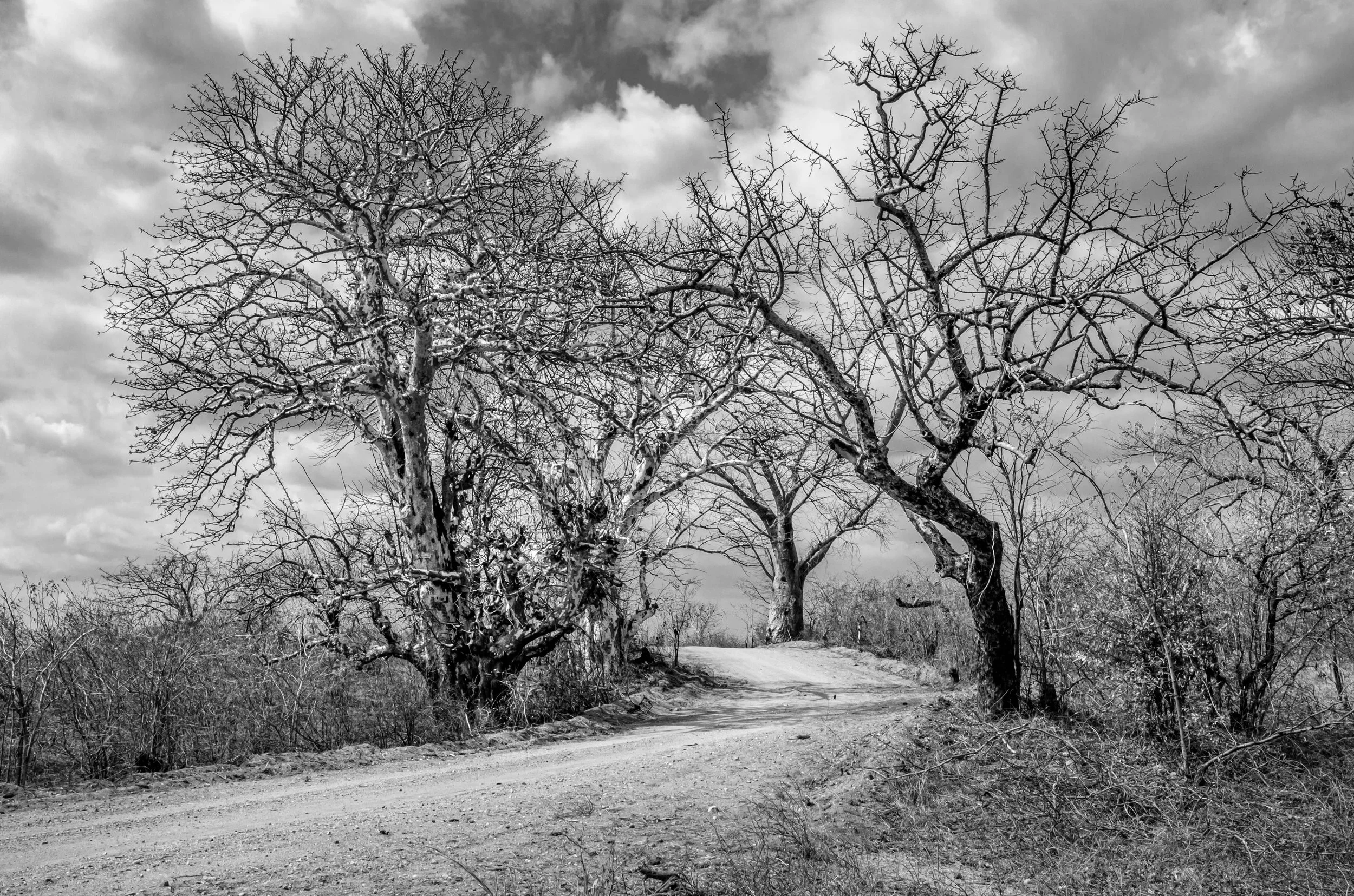 20191004, Tete Dirt Roads 076-Editar(B&W).jpg