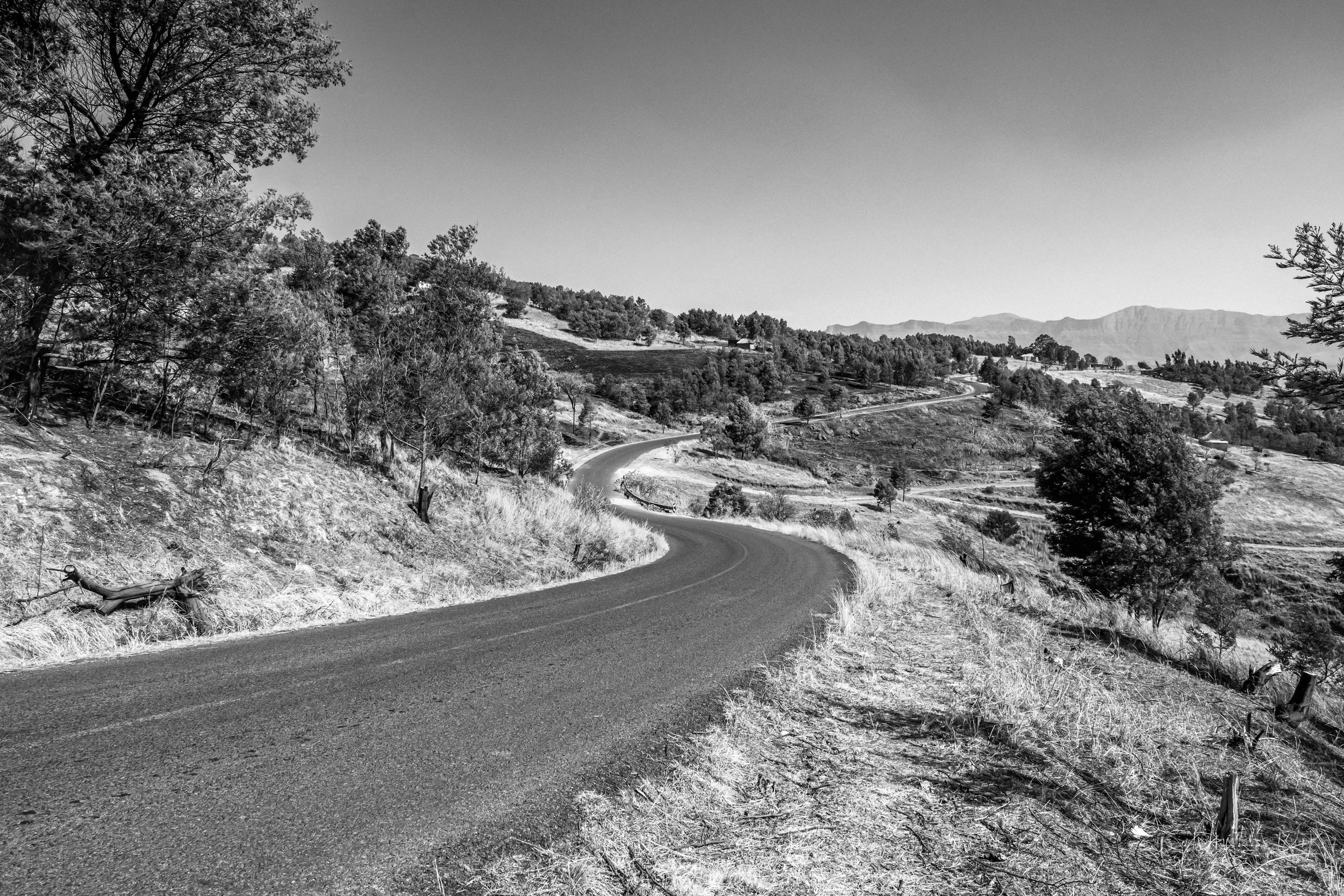 Estrada sinuosa em meio a uma paisagem rural com árvores e colinas ao fundo, em preto e branco.