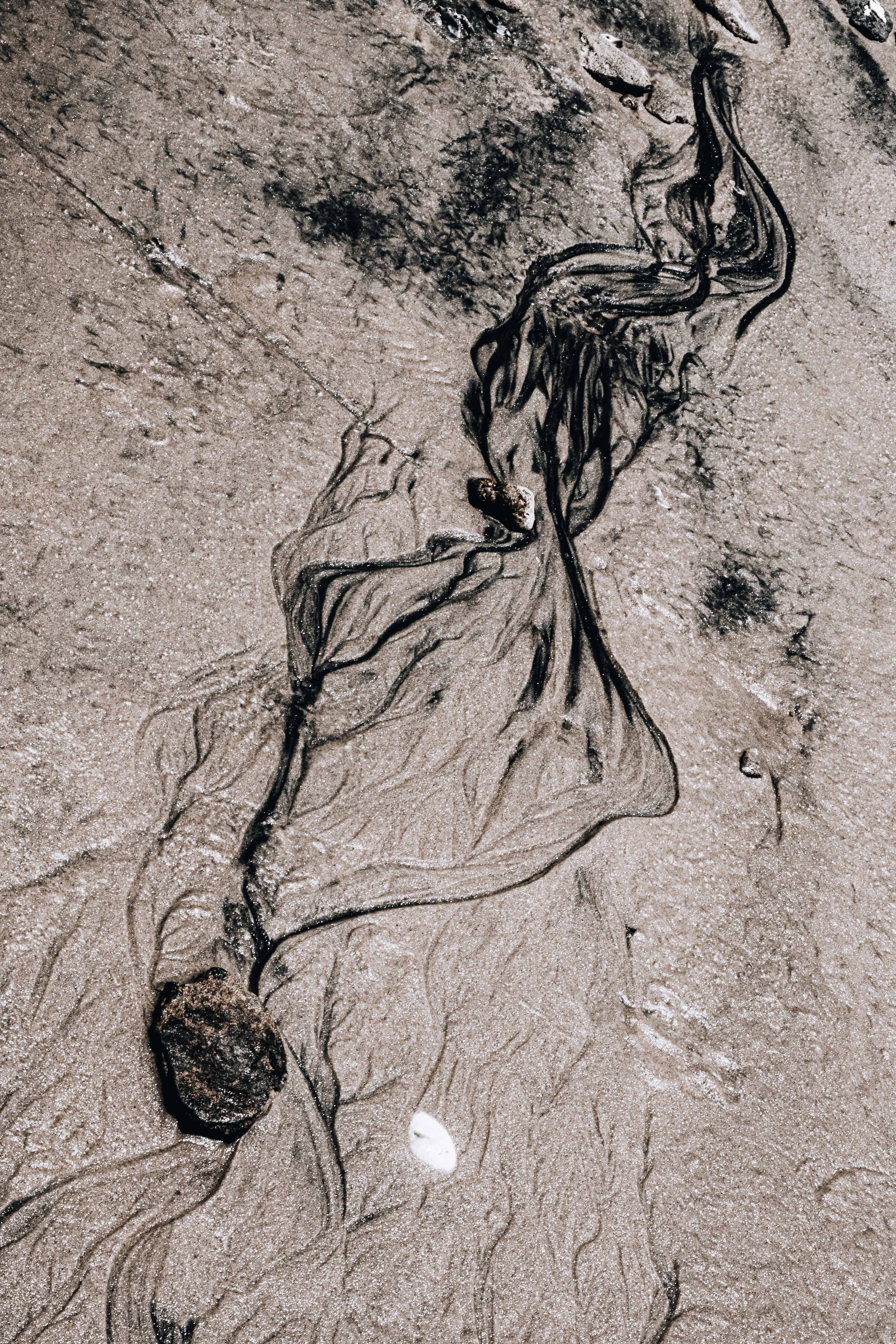 20231104, Areia Katembe 117.jpg