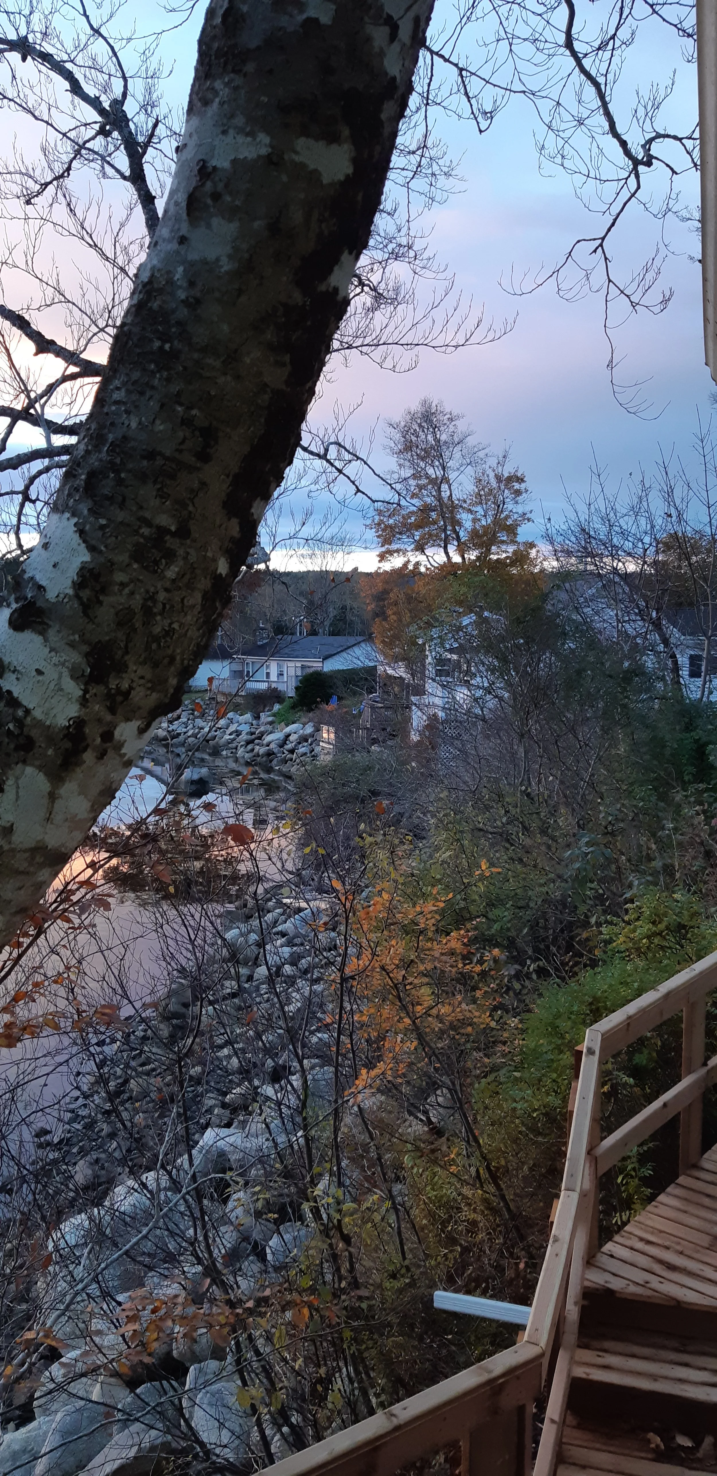 20211103_175451.jpg