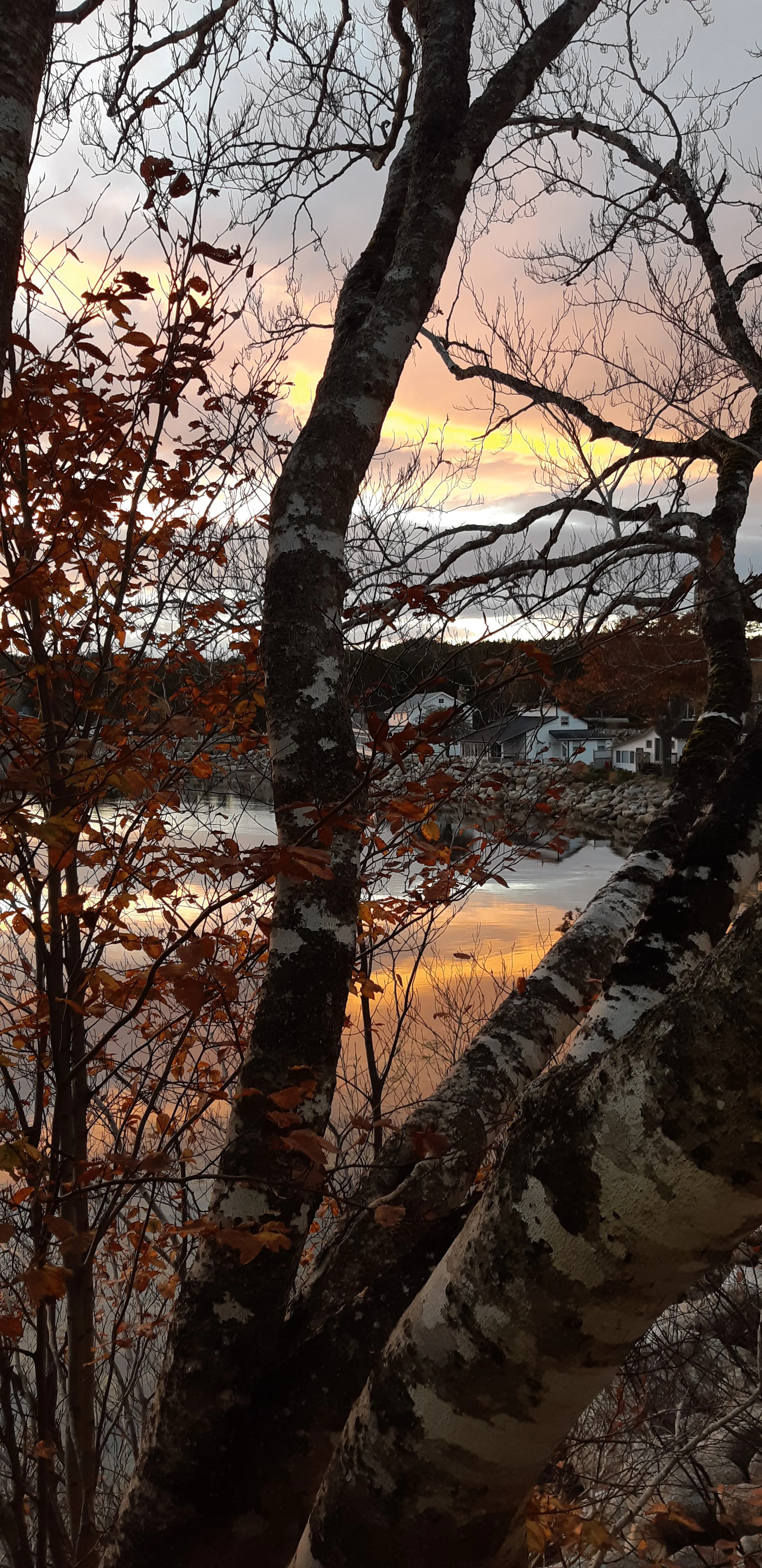 20211103_175426.jpg