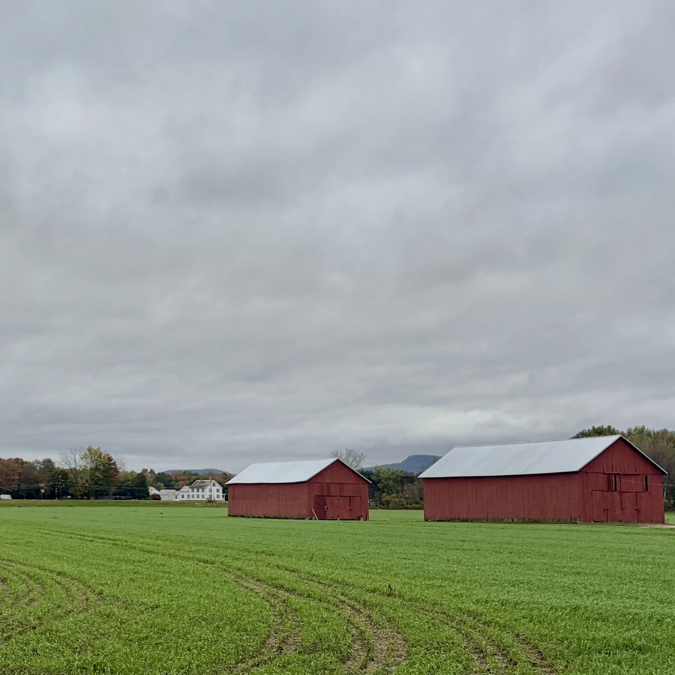 Tier 2: Expert Walkthrough