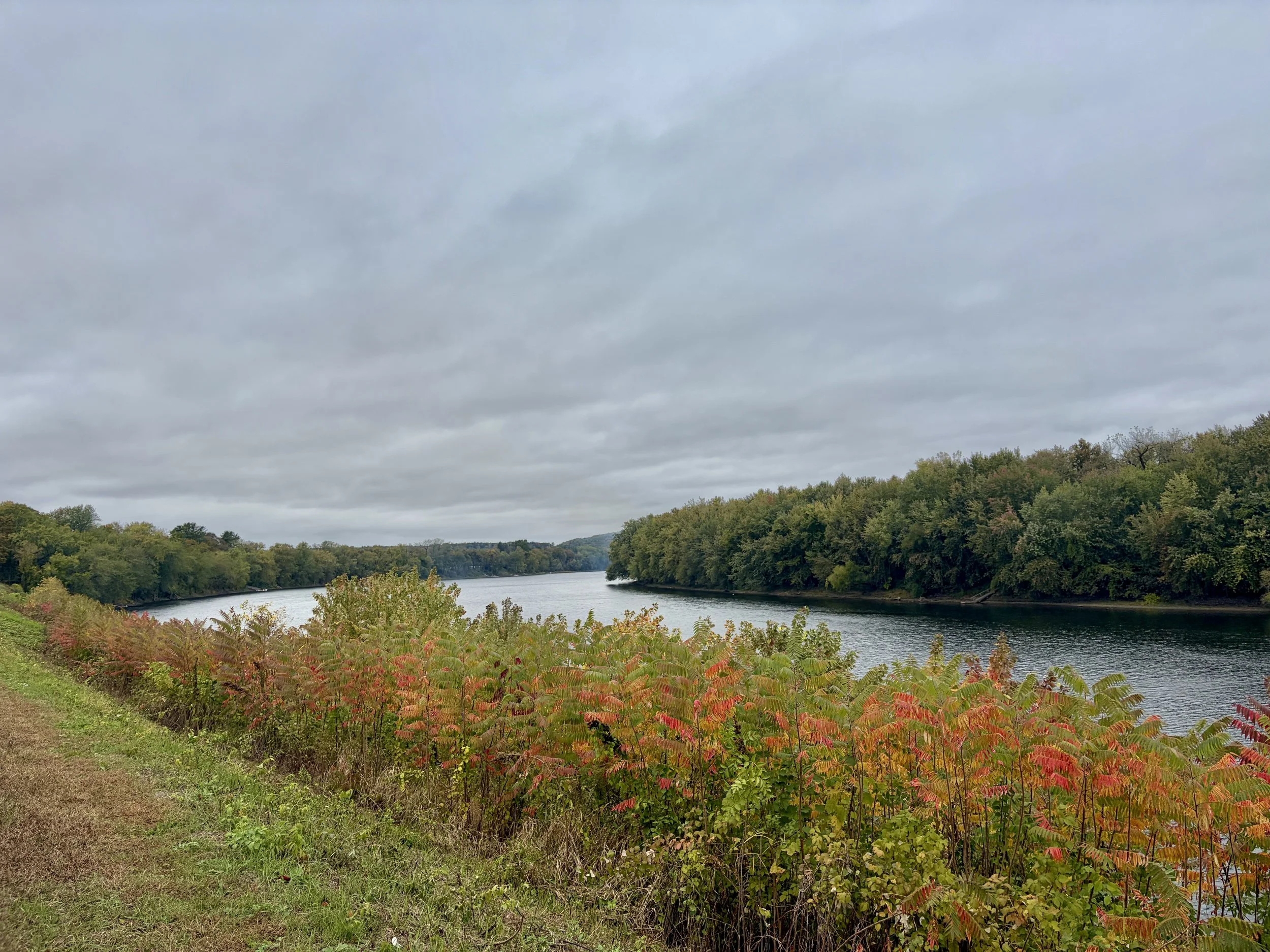 Photo of the Connecticut River from the Alexandria Dawson Conservation Area in Hadley, Massachusetts