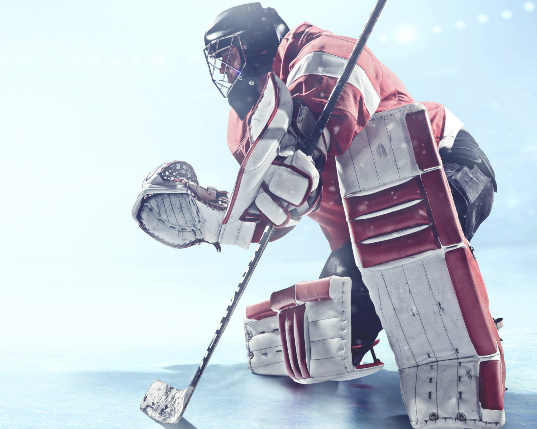 Summer Clinic Goalie Registration $900.00 + processing fees