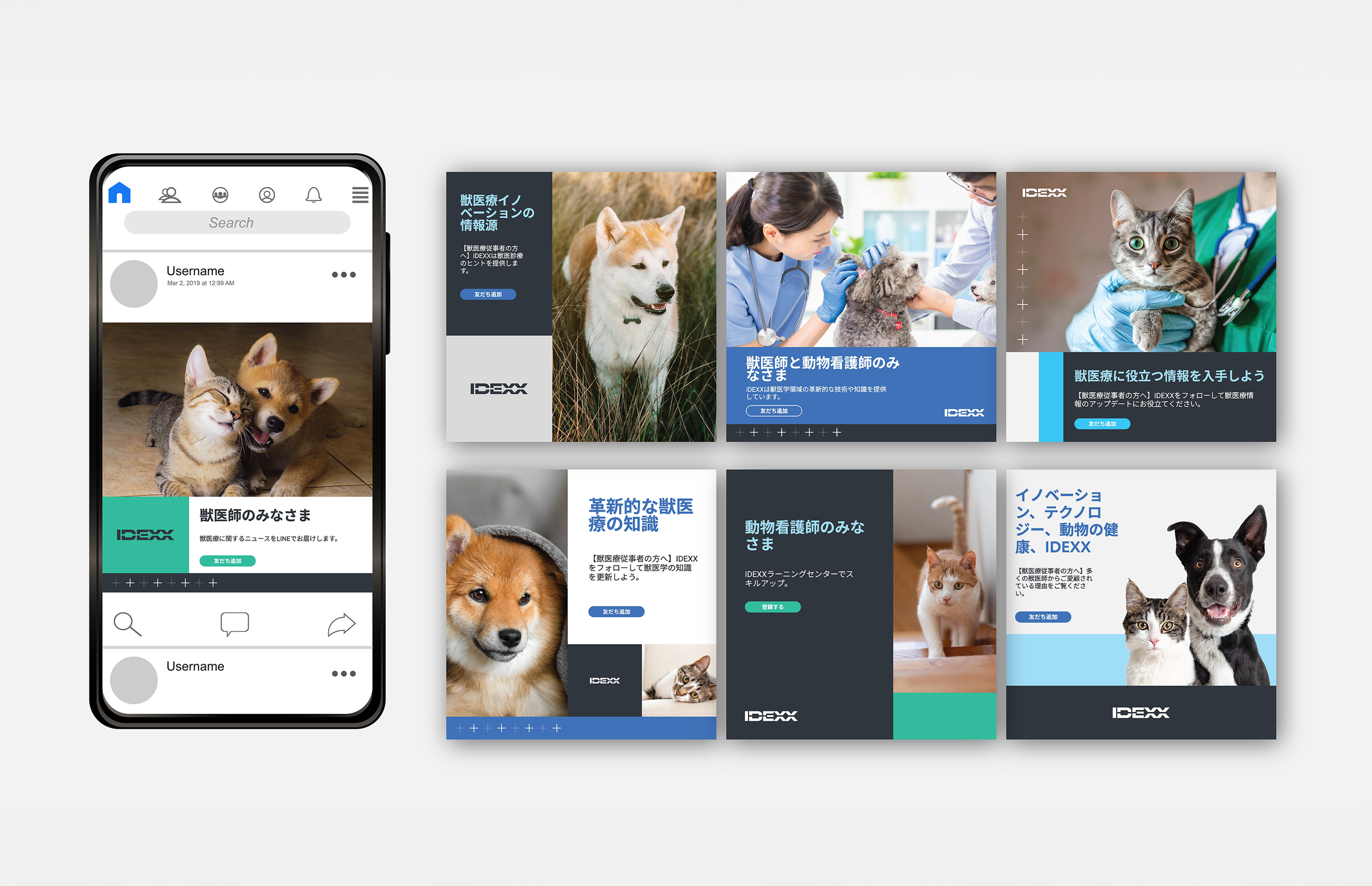 leahkues-idexx-japan-social.png