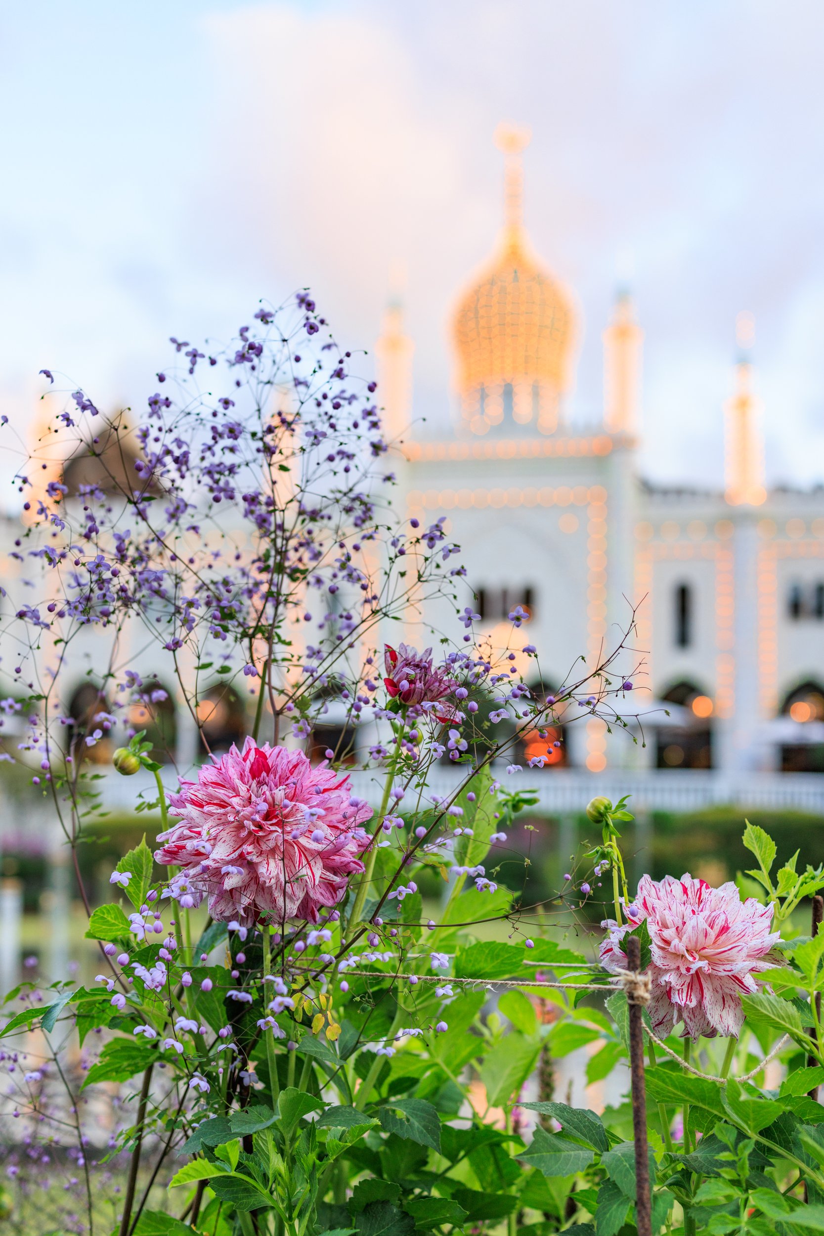 Colorful garden flowers in the foreground with a blurred building with onion domes in the background during sunset.