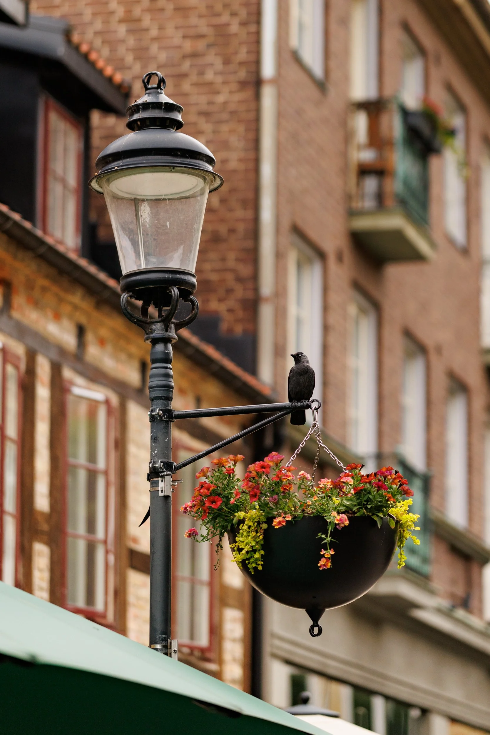A black street lamp with a hanging flower basket filled with red, orange, and yellow flowers, set against a background of brick buildings with windows and balconies.