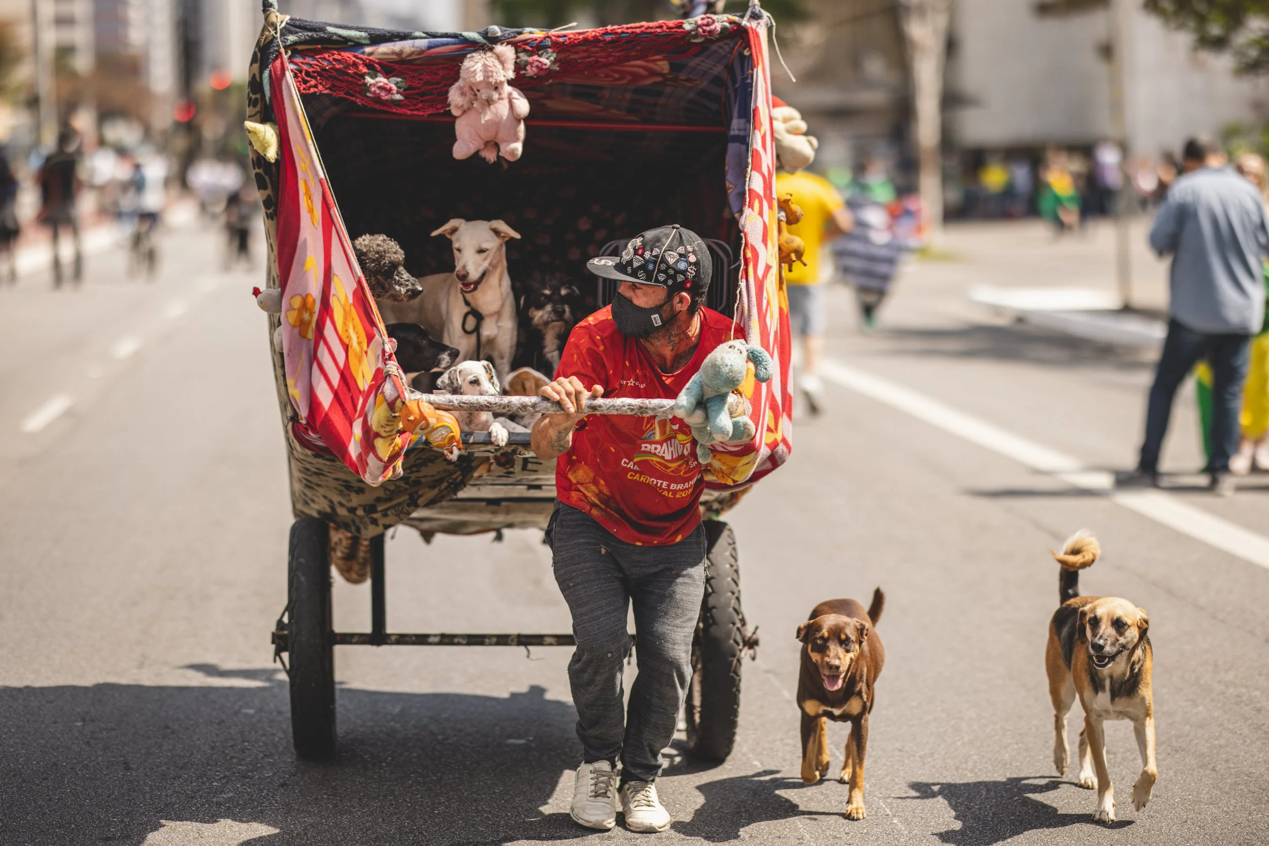 A man wearing a black cap with patches, a black face mask, and a red T-shirt is pushing a decorated dog cart with multiple dogs inside and around it on a city street. The cart is covered with colorful fabric and has stuffed animals hanging on. Severa