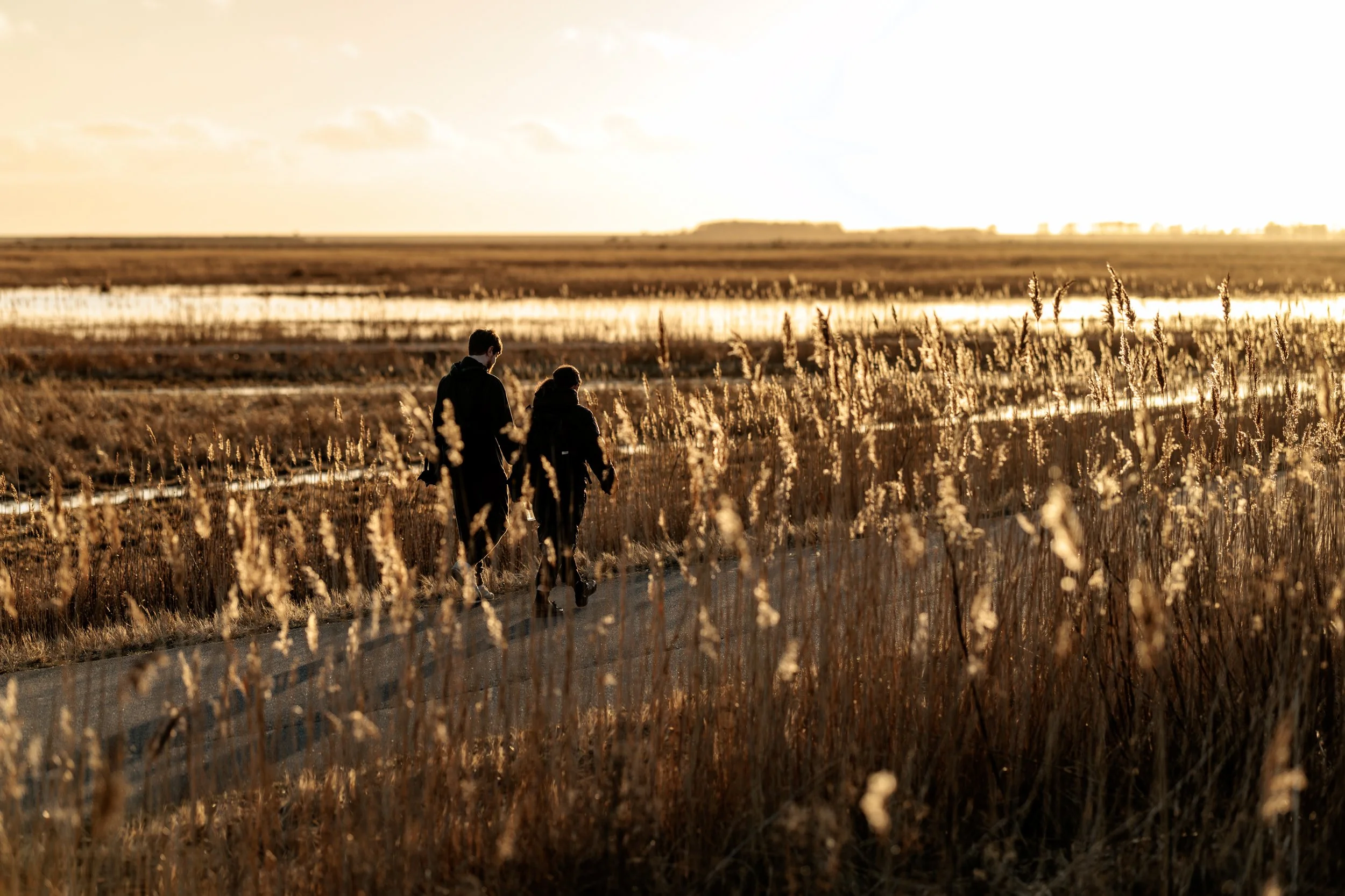 Two people walking along a path surrounded by tall dry grasses and reeds during sunset or sunrise, with a body of water and distant landscape in the background.