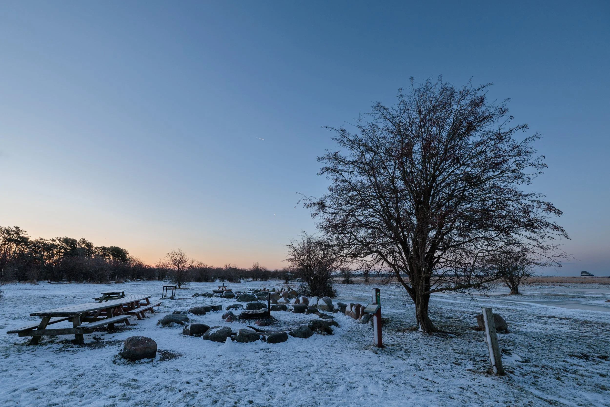A peaceful winter scene with a large leafless tree, snow-covered ground, benches, rocks, and a clear sky during sunset.