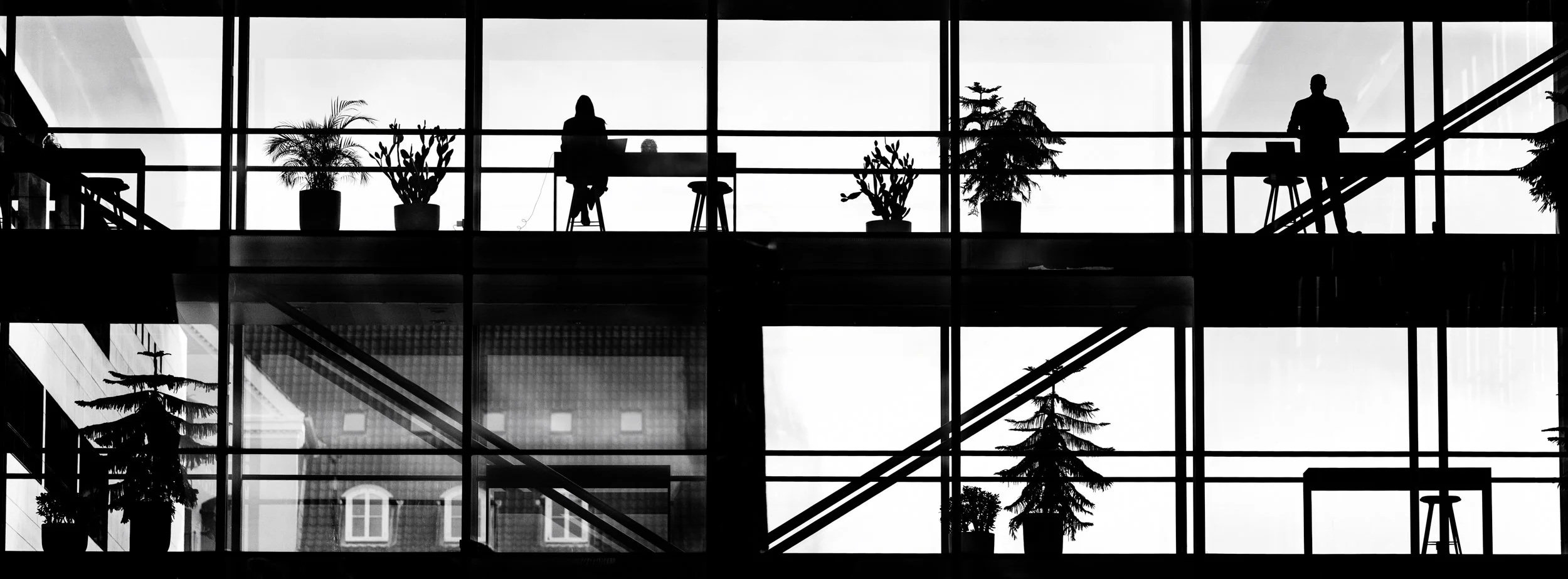 Silhouettes of two people on an upper floor of a building, standing near potted plants, with large windows showing the sky outside.