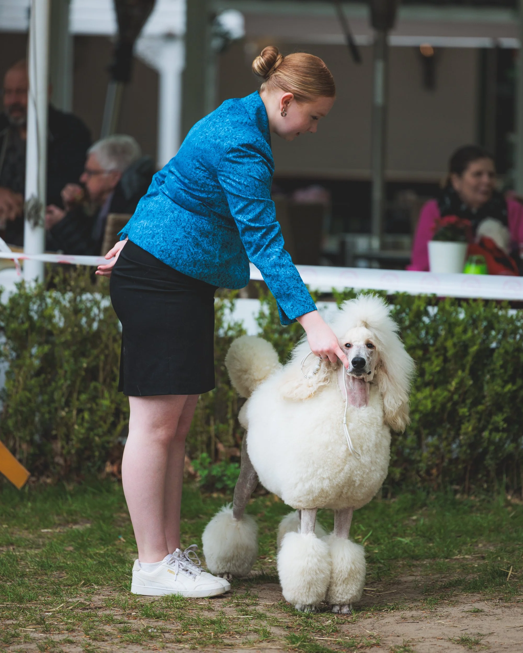 A woman in a blue blazer and black skirt showcasing a large, fluffy white dog with poodle grooming style in an outdoor setting, with others seated in the background.