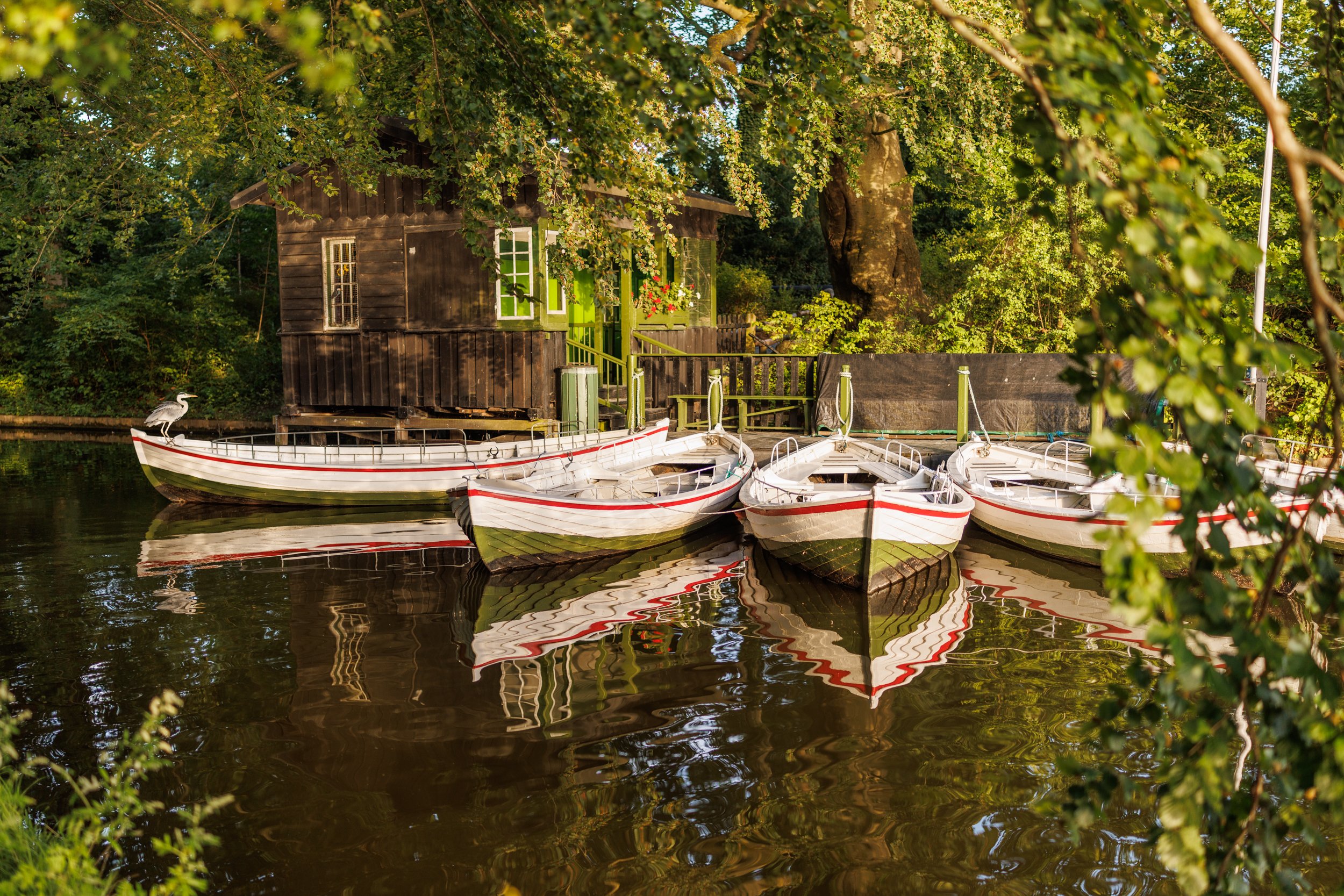 A small wooden cabin with green doors and windows is situated on a dock over water, with boats tied to it. Trees with dense green foliage surround the area, and a heron is perched on the side of one boat. The scene is bathed in warm sunlight, creatin
