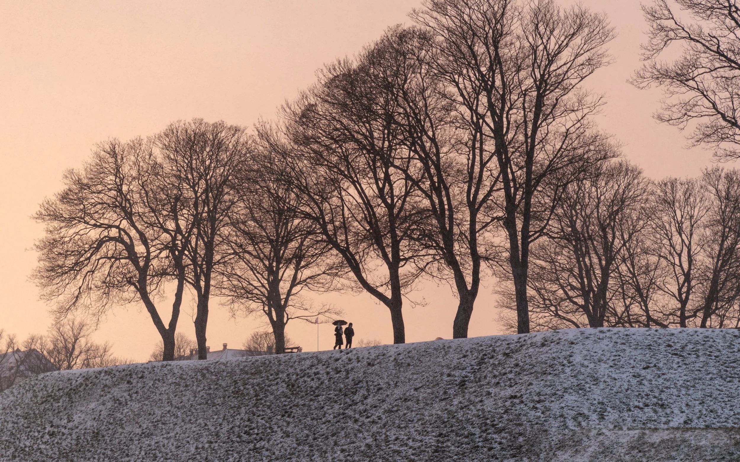 A winter scene with leafless trees on a small hill at sunset, snow on the ground, and a silhouette of two people standing near the trees.
