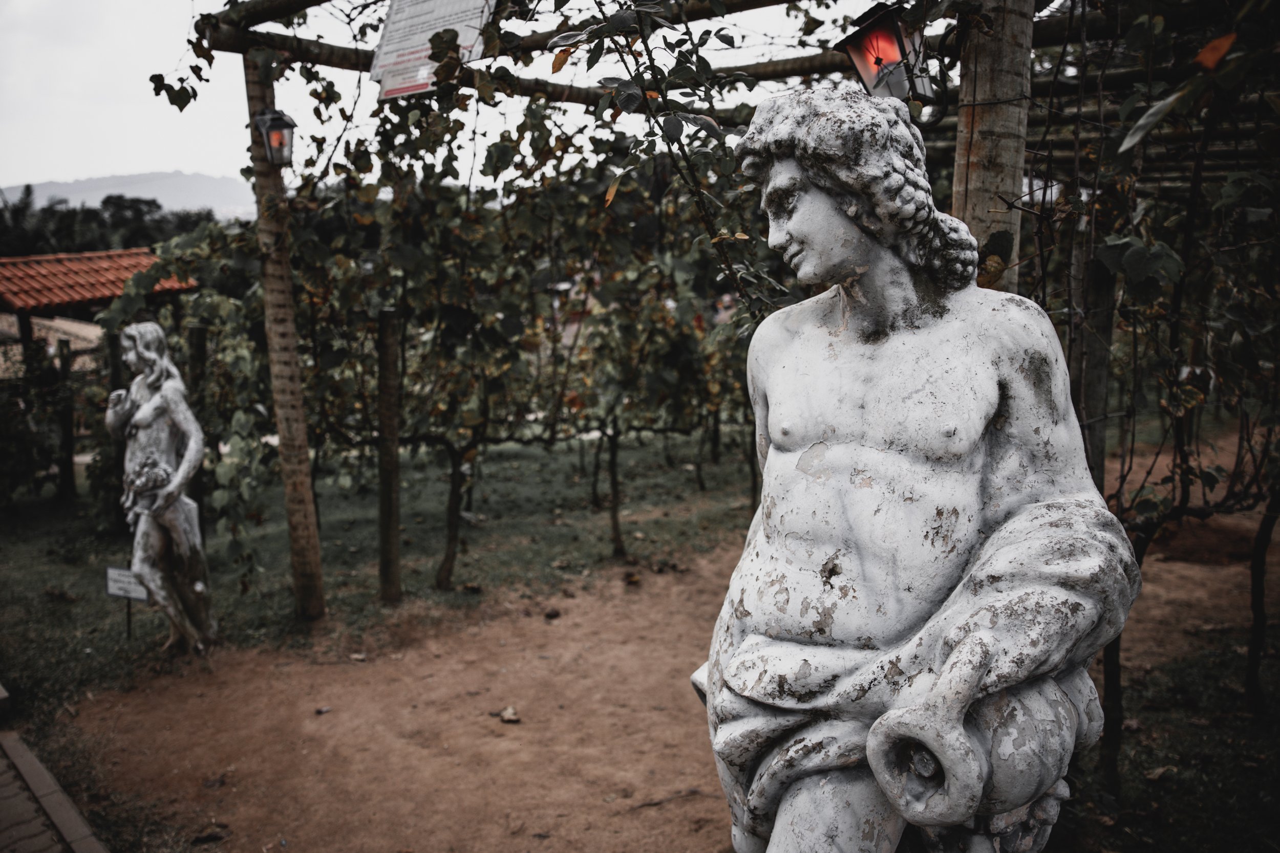 Statues of women made of weathered white stone in an outdoor garden or park with trees, fencing, a building roof, and hills in the background. The statues are positioned among greenery and are part of an art display.