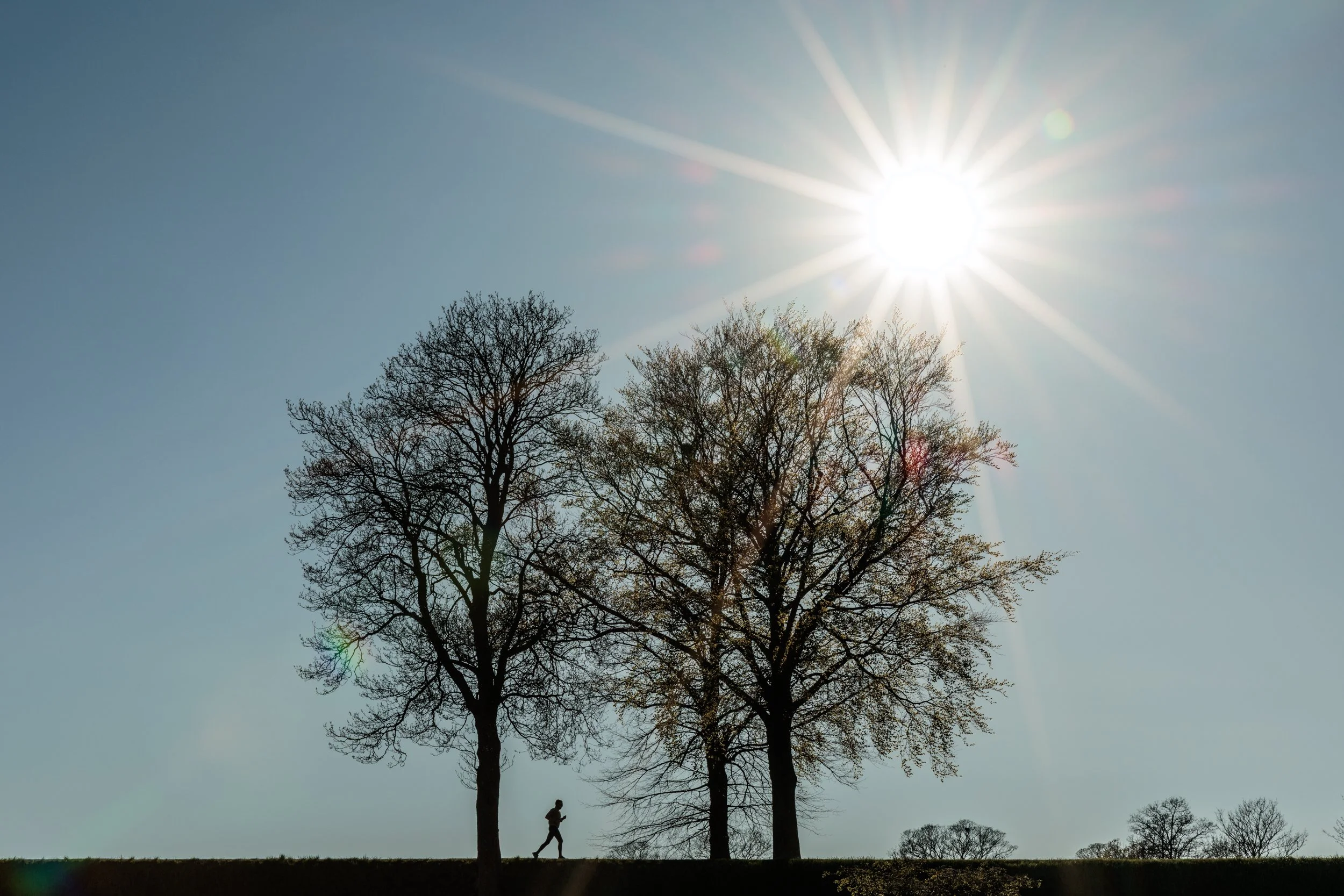 A person jogging along a path under two leafless trees, with the bright sun shining in the clear sky.