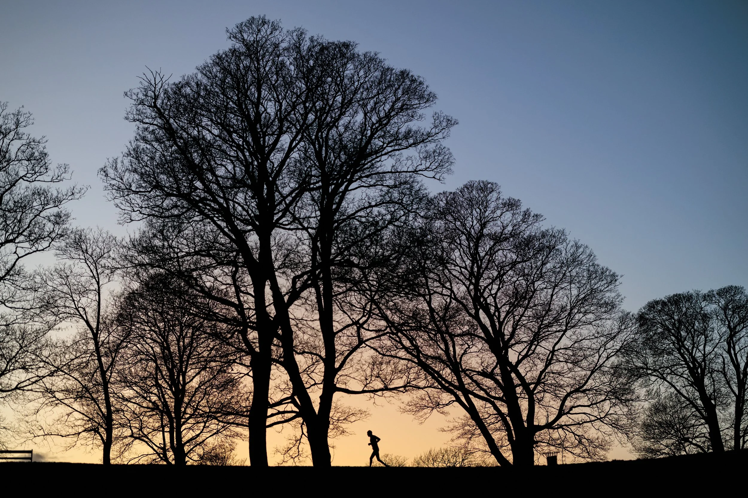 Silhouetted trees and a person jogging in a park at dusk or dawn, with a colorful sky in the background.