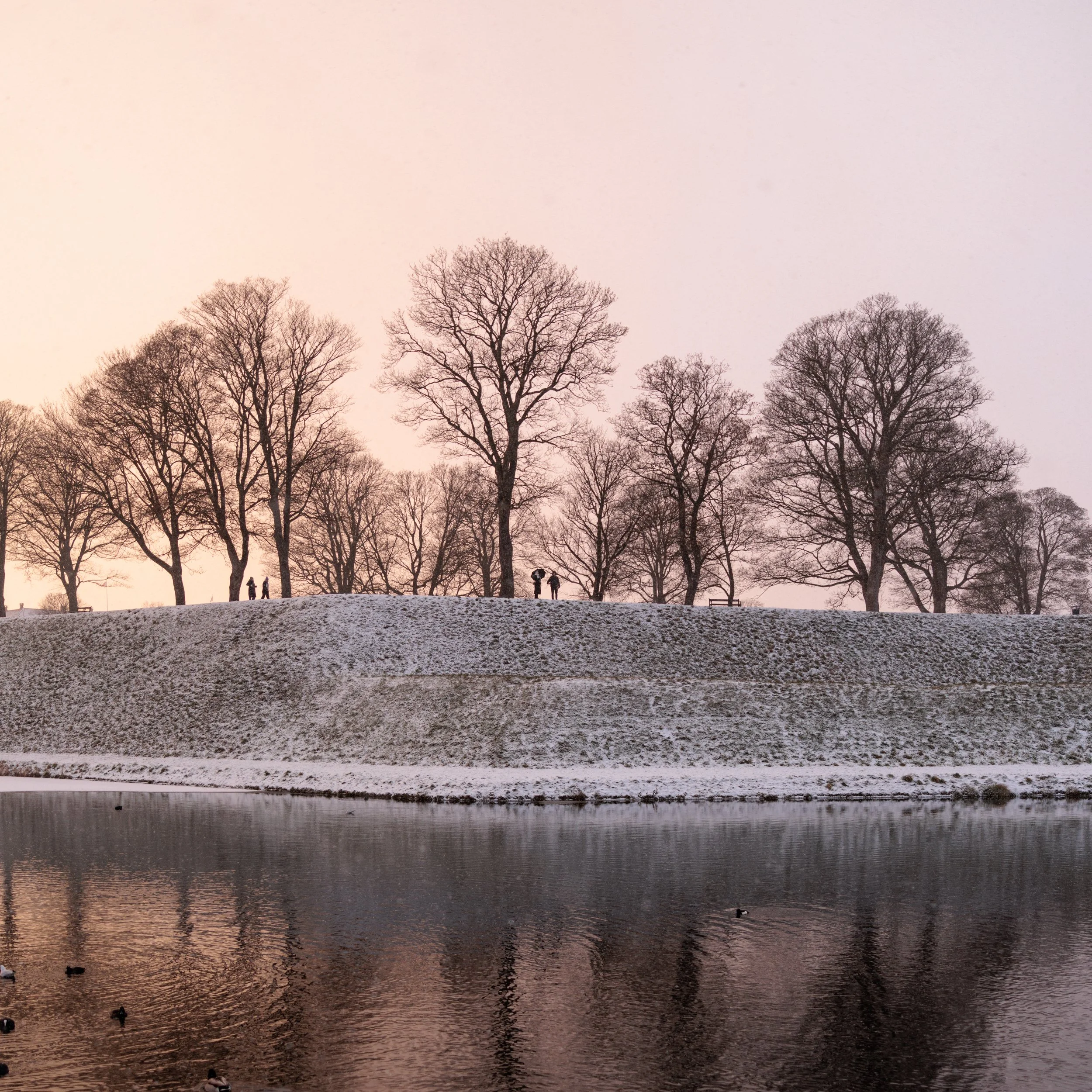 A serene sunset scene featuring leafless trees along a riverbank with ducks swimming in the water, reflecting the warm colors of the sky.