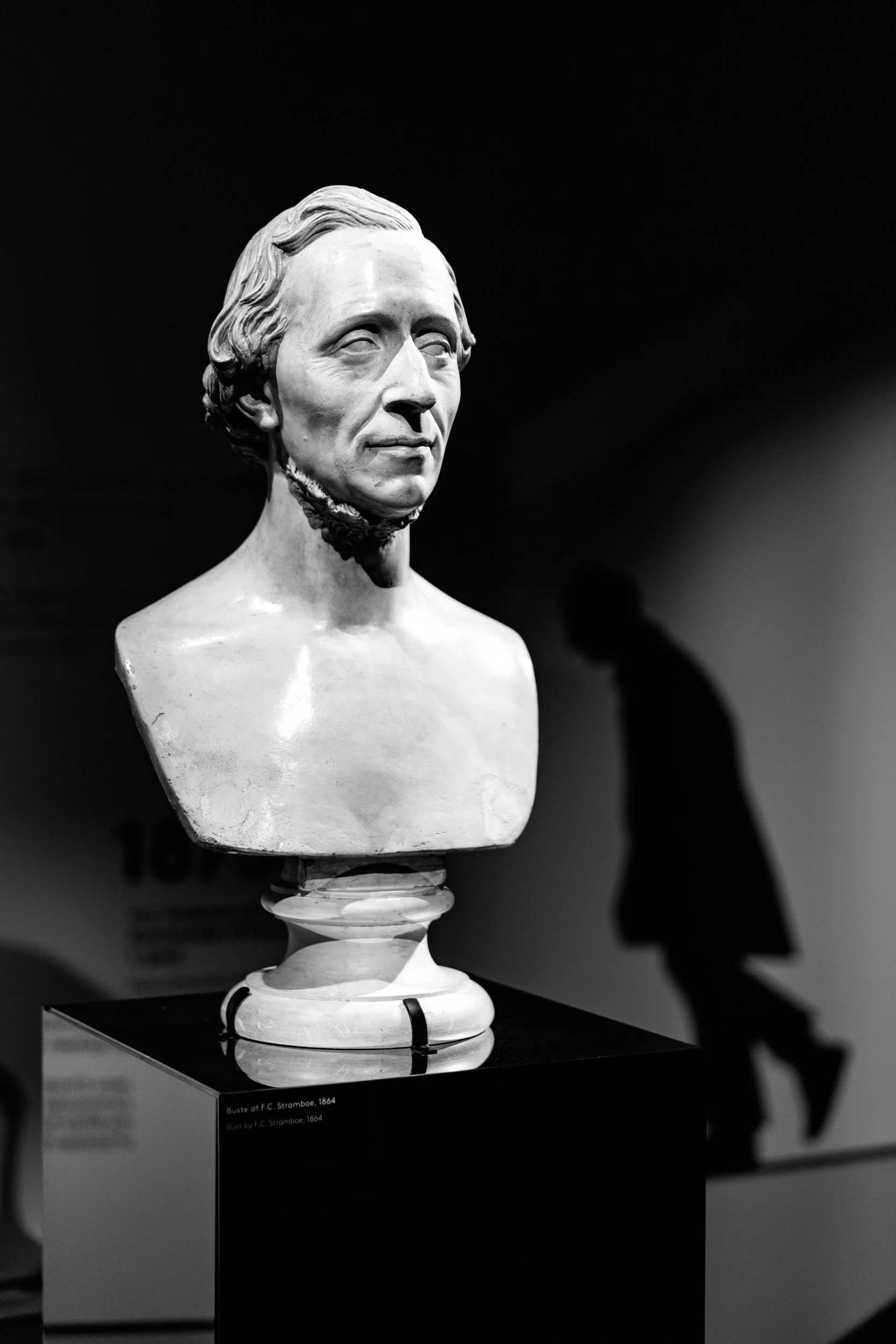Hans Christian Andersen, Herman Wilhelm Bissen, 1864 - Odense