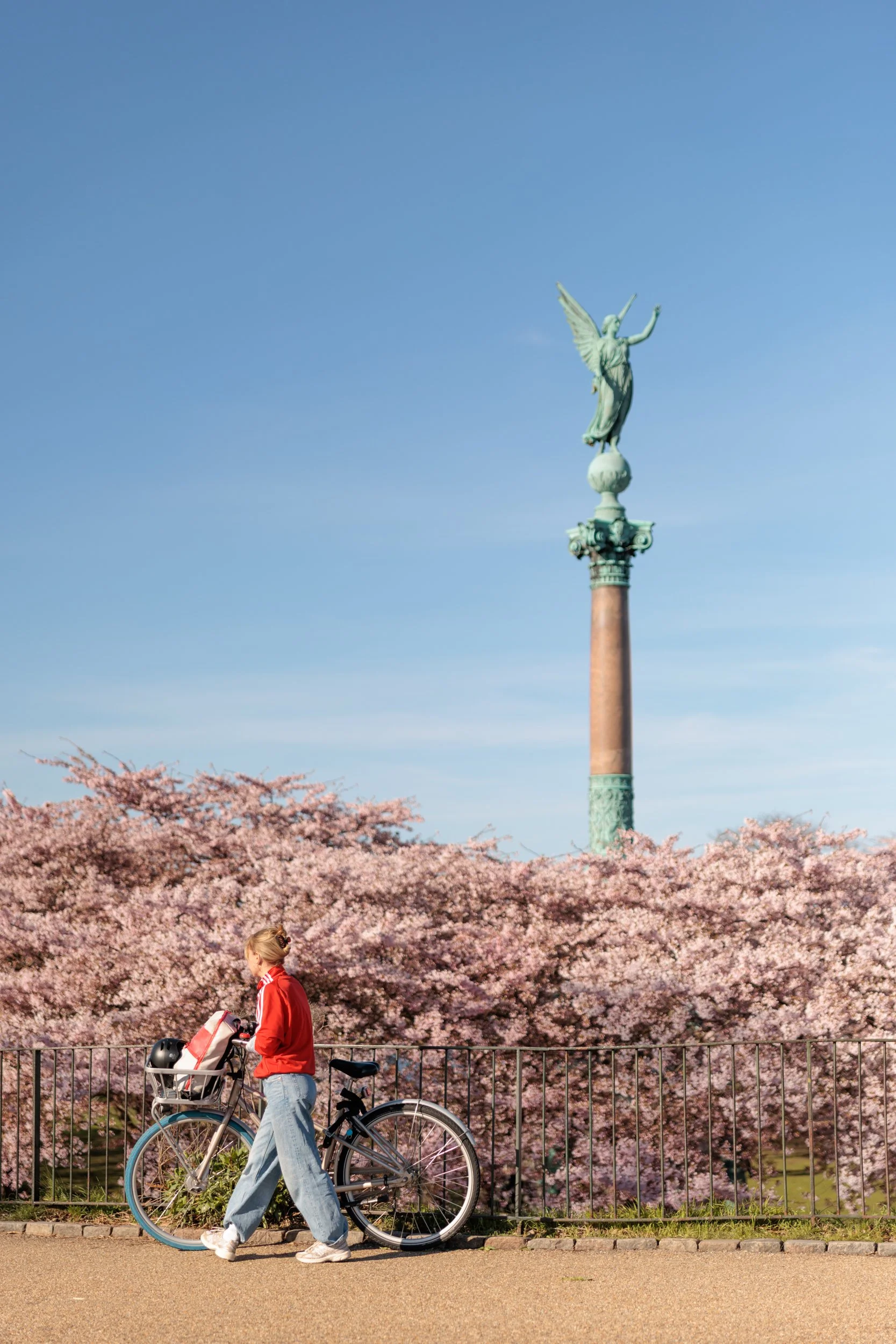 A young woman in a red jacket walking her bike past a row of pink cherry blossom trees during springtime. In the background, there is a monument with a statue of an angelic figure with wings on top of a tall column against a clear blue sky.