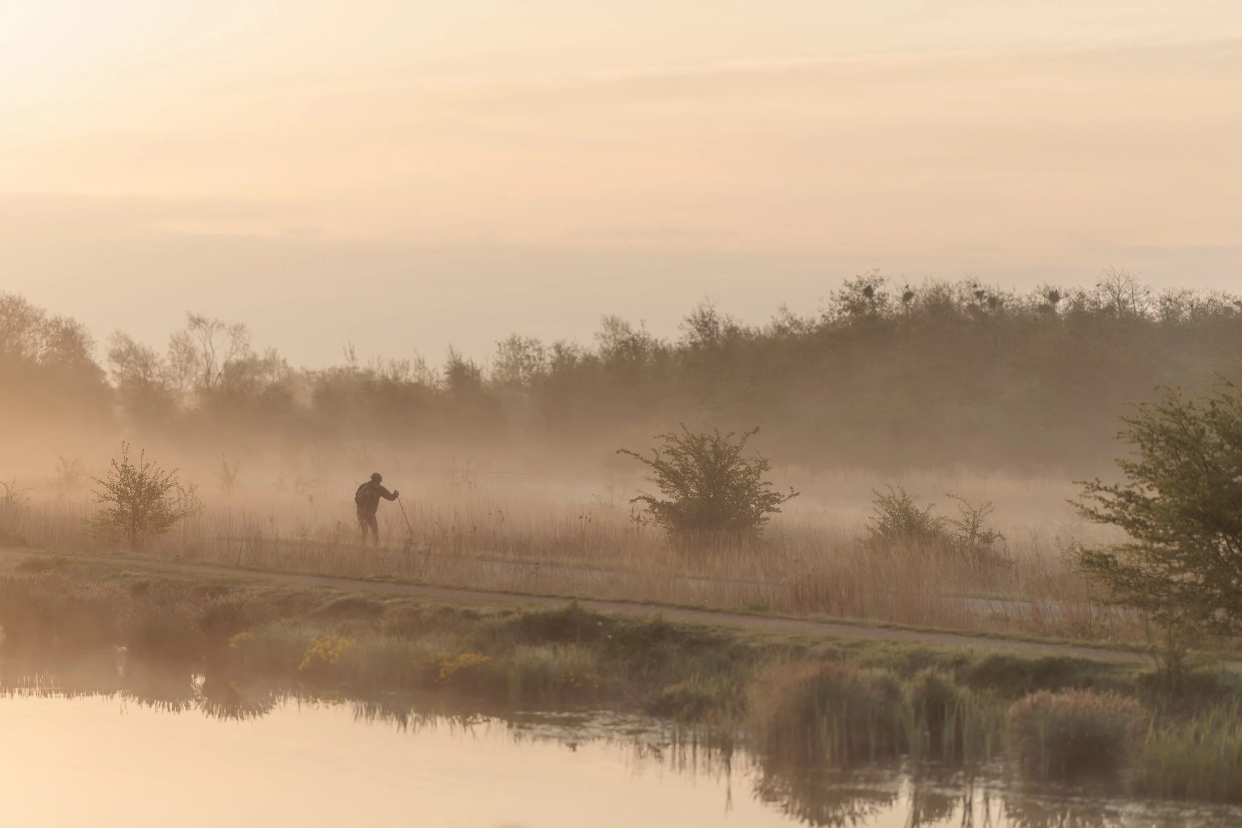 A person walking with a stick in a foggy field near a river, surrounded by trees and bushes under a soft, pastel-colored sky.
