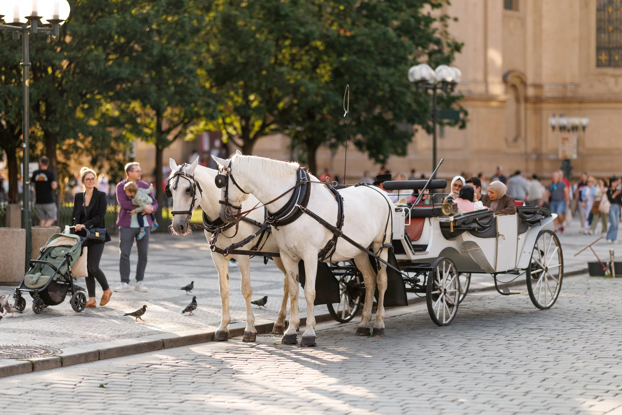 A white horse hitched to a carriage in a busy public square with people walking and pigeons on the ground.