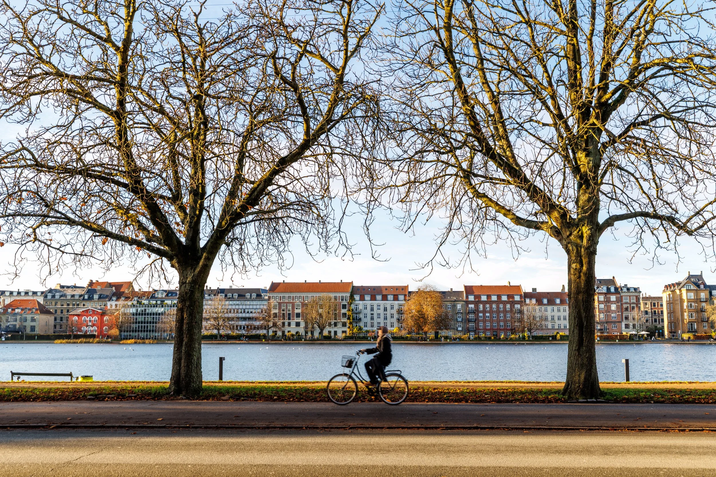 Two leafless trees stand in the foreground by a river, with a person riding a bicycle nearby. In the background, there are colorful buildings with various architectural styles under a partly cloudy sky.
