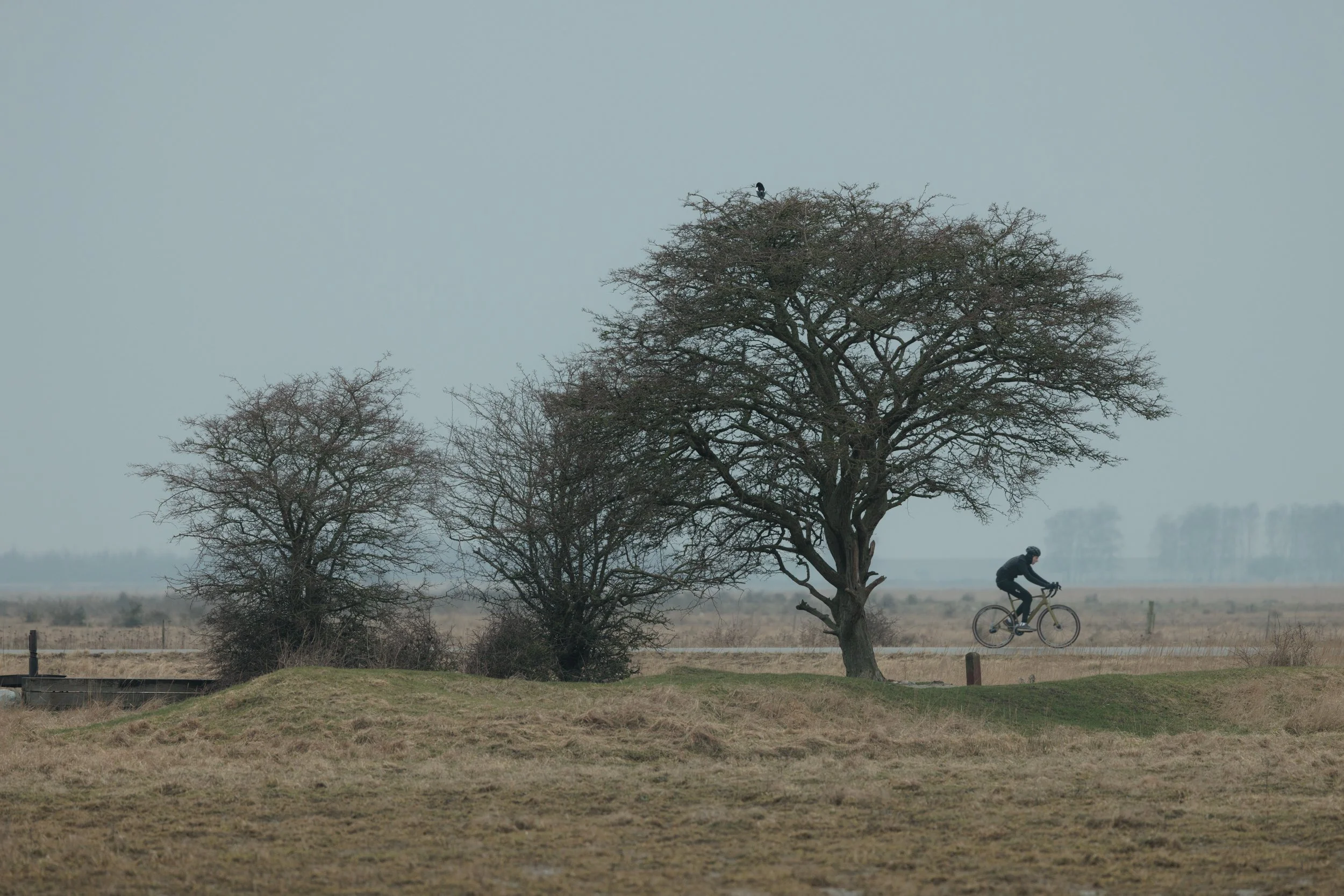 A person riding a bicycle on a rural path next to leafless trees and a fence, with a foggy background and overcast sky.