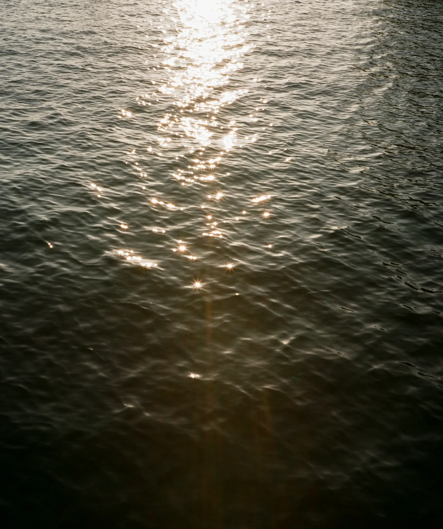 Romain Becue-28.webp